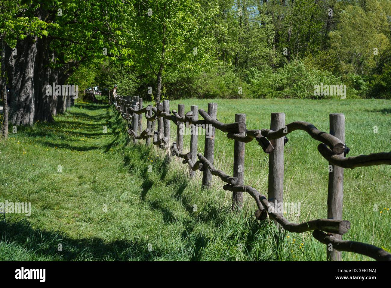 Recinzione rustica in un paesaggio rurale che enfatizza lo scenario naturale all'aperto. Foto Stock