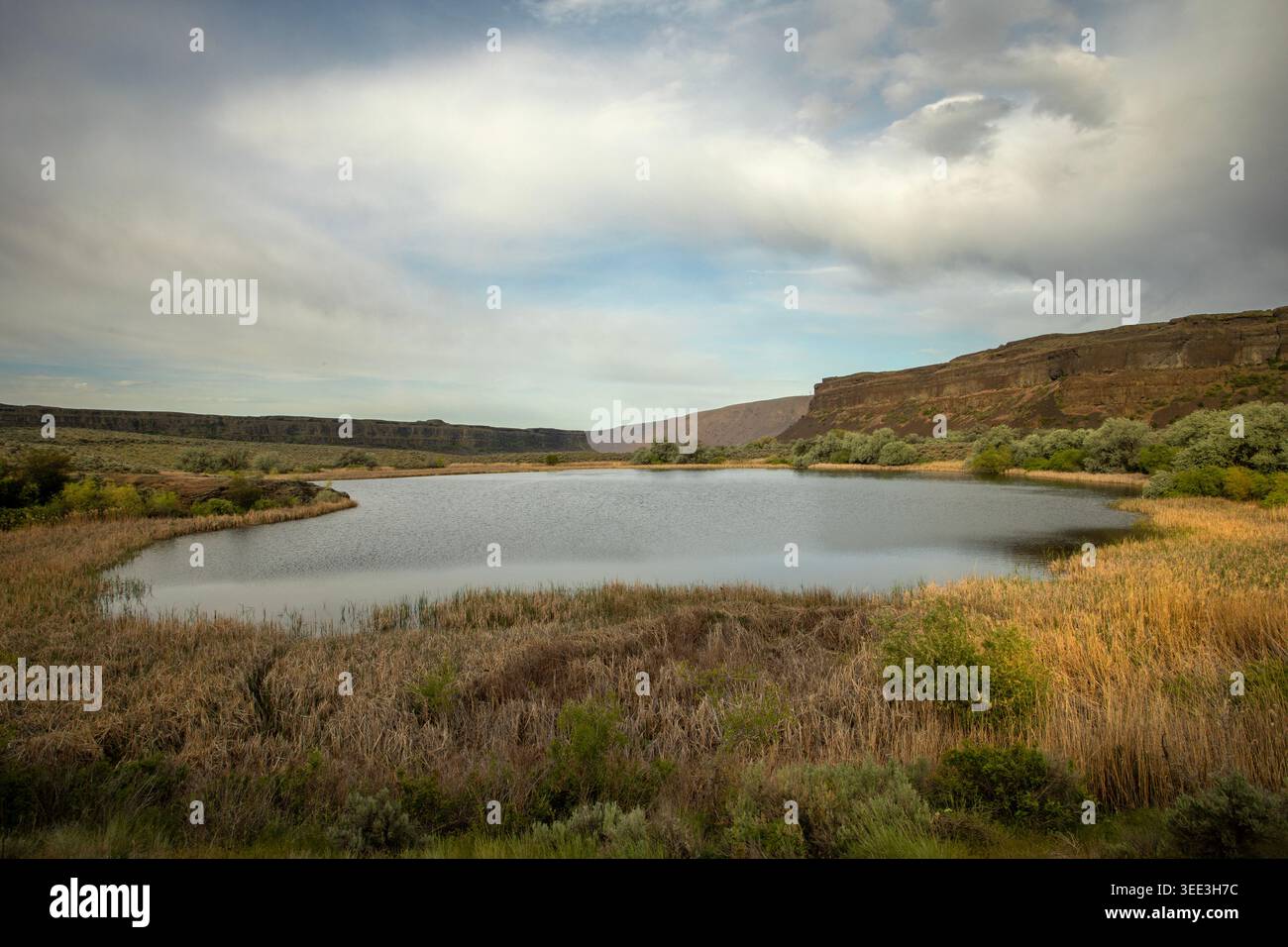 WA29159-00...WASHINGTON - piccolo lakelet circondato da paludi e canne nel Sun Lakes State Park. Foto Stock