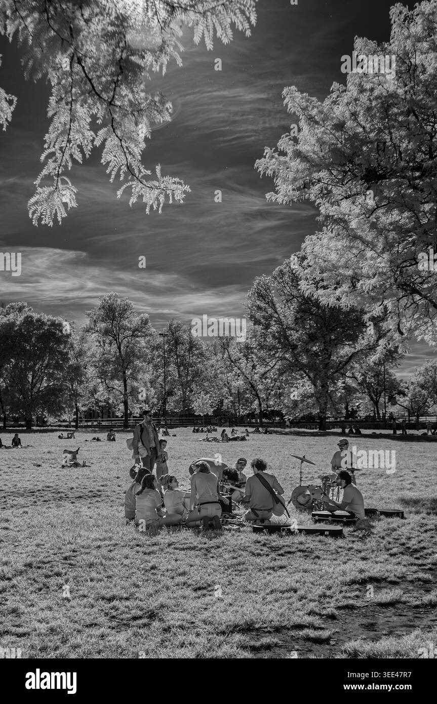 Un gruppo musicale all'aperto si esibisce in un parco erboso a Bologna, in Italia, sotto un cielo nuvoloso. L'immagine viene resa in bianco e nero a infrarossi, evidenziata Foto Stock