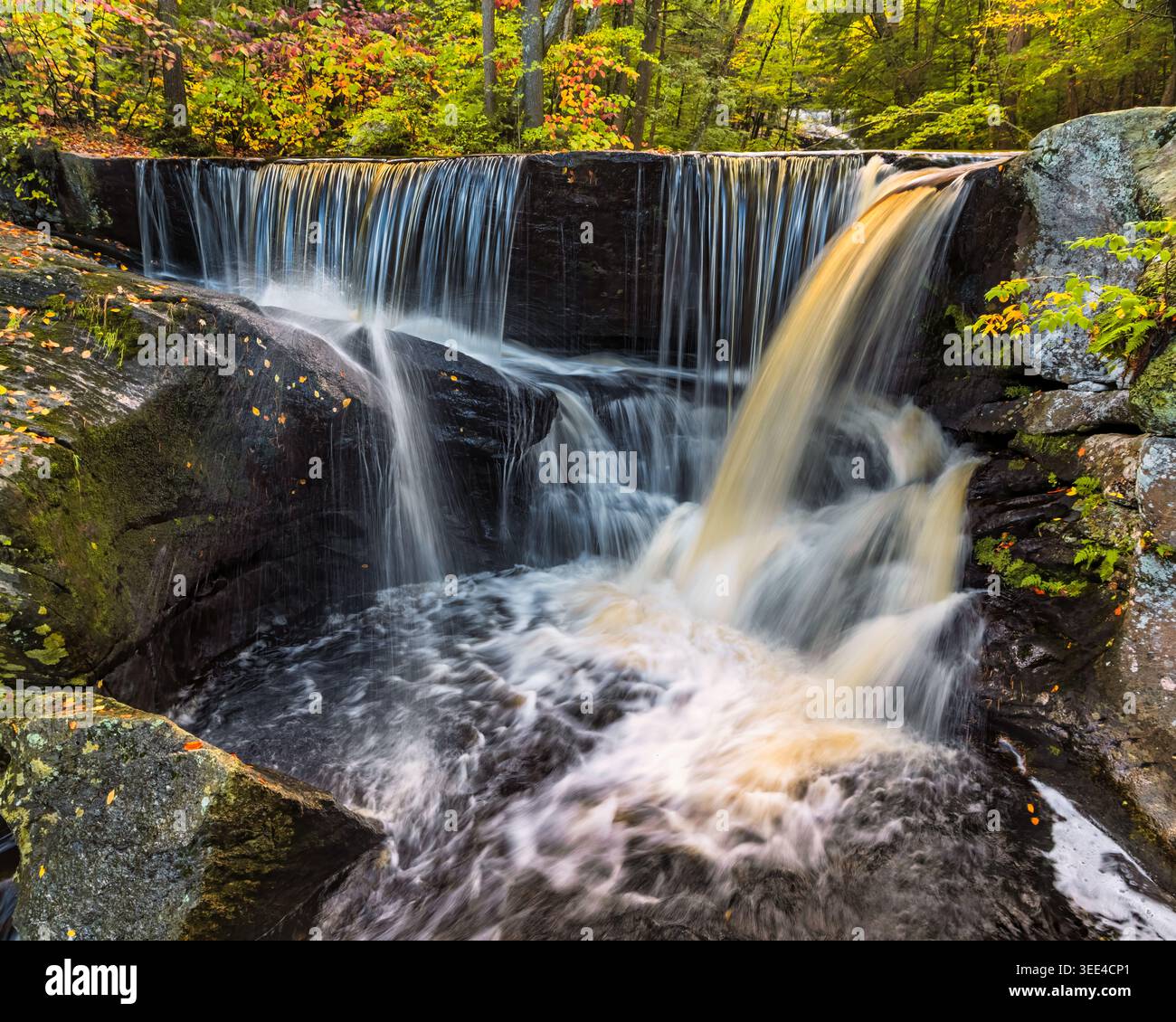 Una piccola cascata si innalza su rocce circondate da lussureggiante vegetazione. Il flusso d'acqua crea un'atmosfera rilassante, esaltata dai colori autunnali della Foto Stock