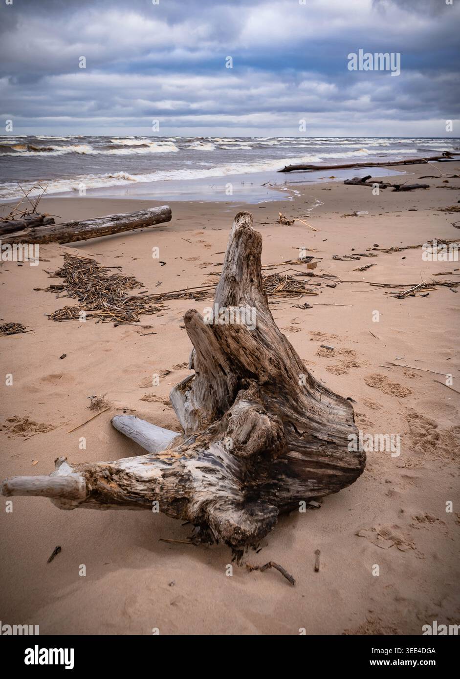 Intempesta sulla tempesta spiaggia del Mar Baltico in Lettonia Foto Stock