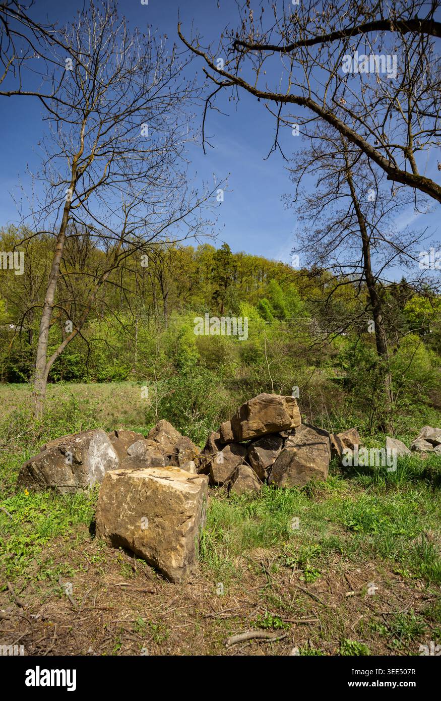 Grandi blocchi di arenaria nell'erba Foto Stock