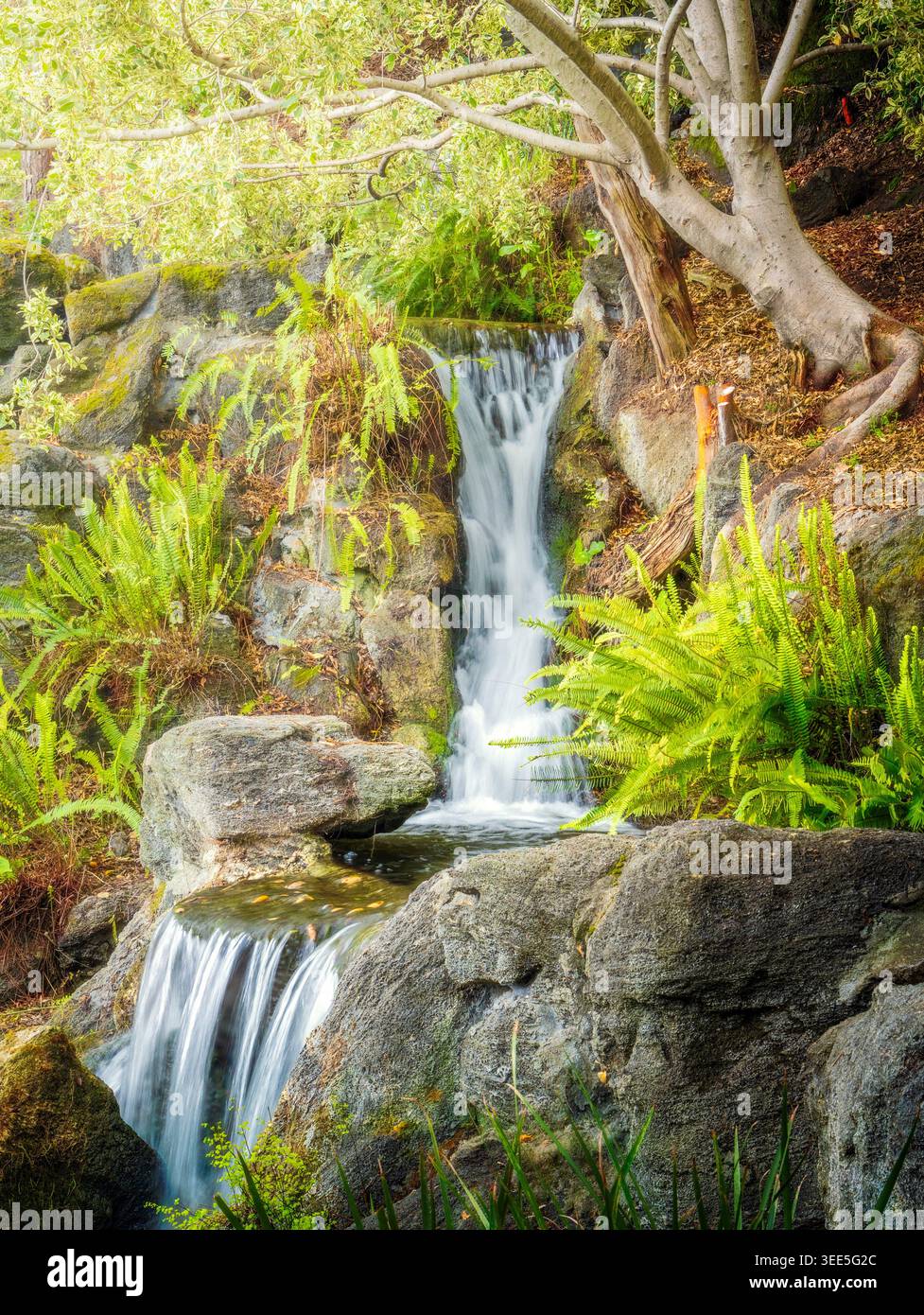 Cascata con giardino di smeraldo che si tuffa tra felci e rocce illuminate dal sole in un lussureggiante ambiente naturale verde. Foto Stock