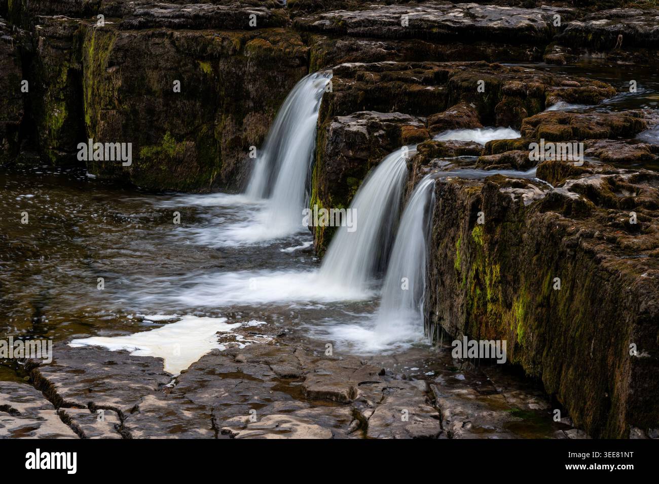 Le cascate gemelle si estendono su gradini calcarei ricoperti di muschio alle cascate Aysgarth Foto Stock