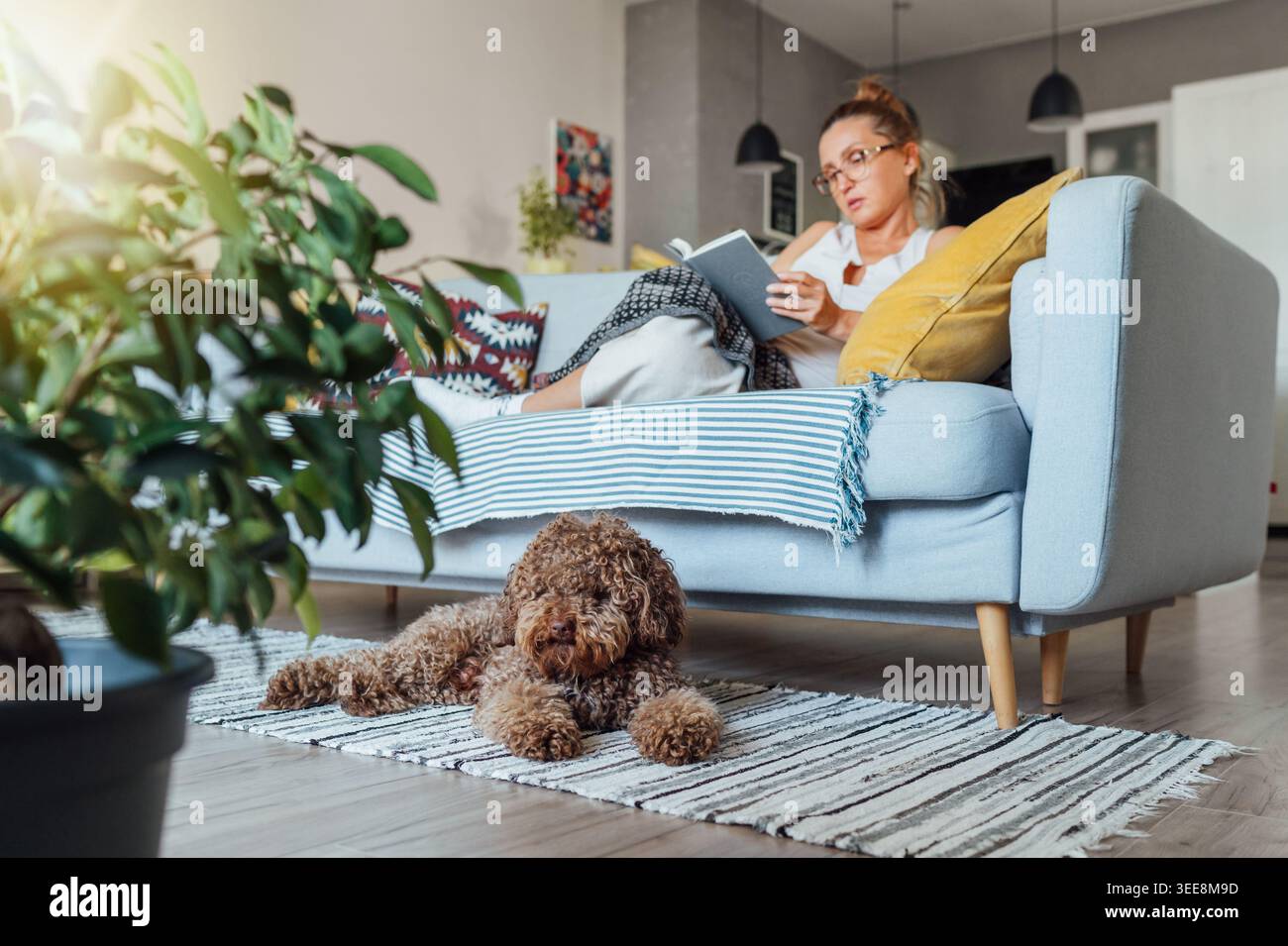 felice cane maltipoo che piscia su un tappeto donna di mezza età che legge un libro sul comodo divano del soggiorno godendosi momenti tranquilli insieme Foto Stock