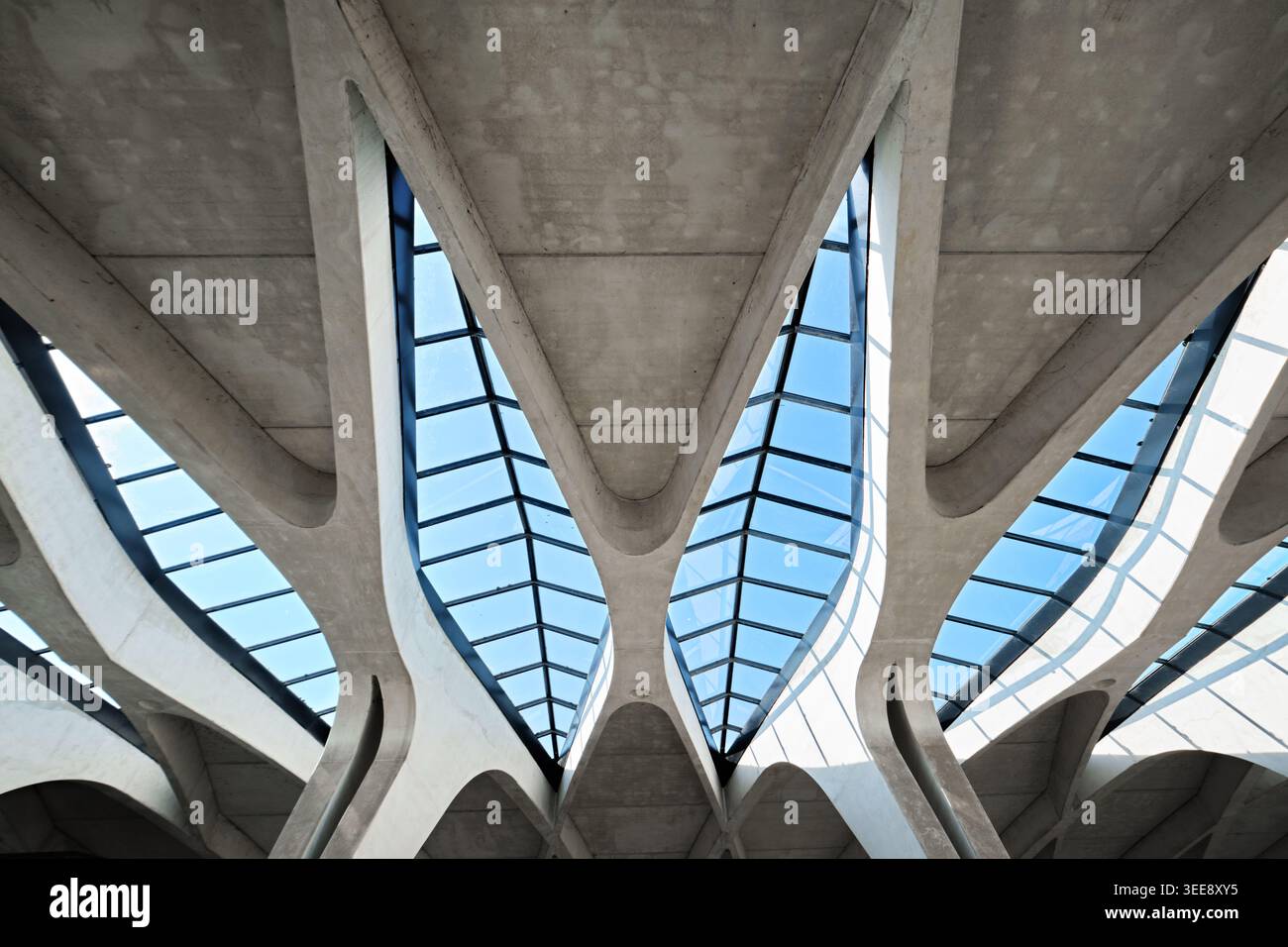 Lione, Francia - 19 marzo 2026: Vista ad angolo basso degli archi simmetrici in cemento e del lucernario della stazione TGV Lyon Saint Exupery di Santiago Calatrava Foto Stock