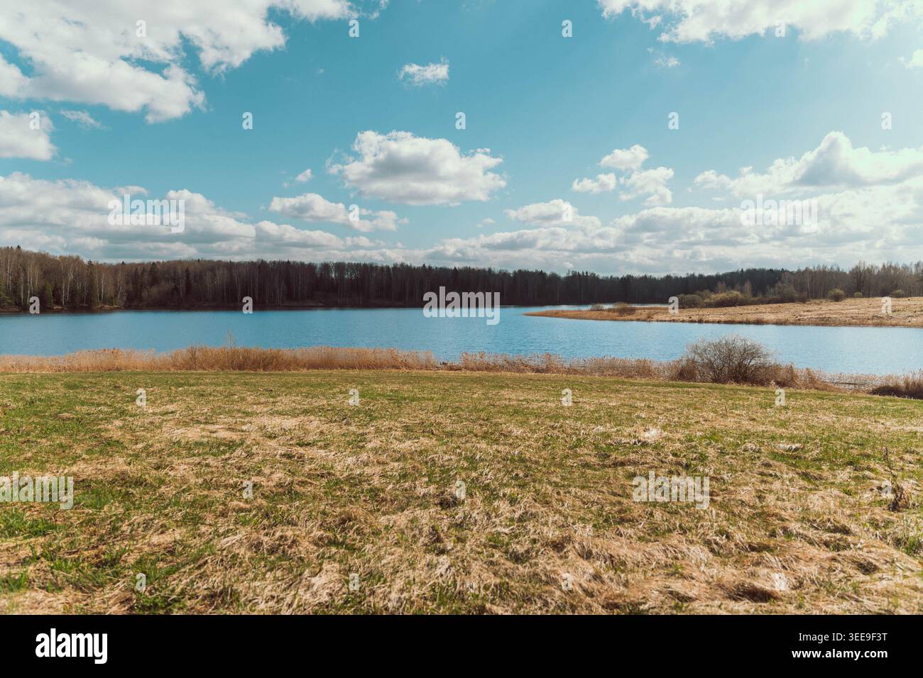 L'Open Lakeside Meadow under Dramatic Sky offre un'ampia vista sull'erba e sull'acqua naturale, le soffici nuvole sopra Horizon suggeriscono il fresco giorno della primavera Foto Stock