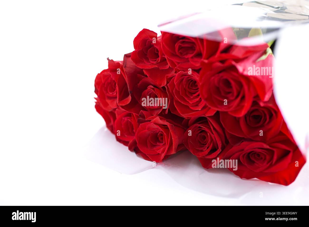 Vista di un bouquet di rose rosse, sul lato destro della cornice. Foto Stock