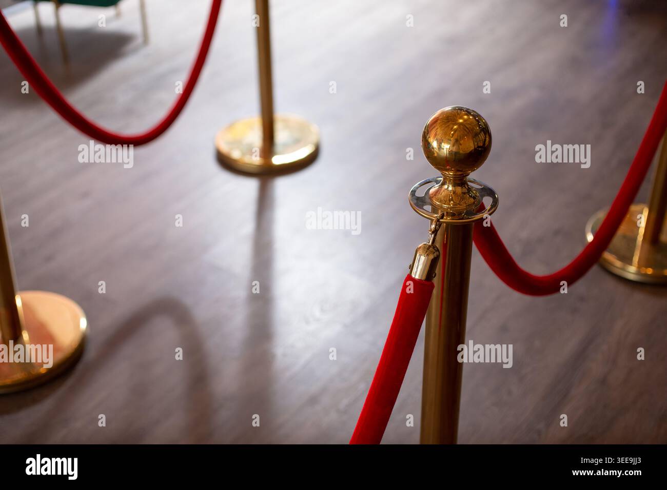 Una vista di una corda di velluto all'interno di una camera. Foto Stock