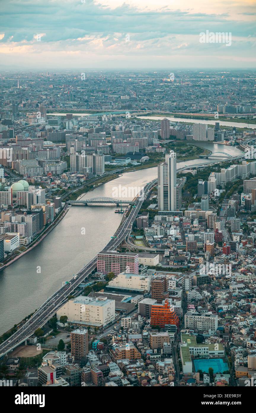 Vista aerea del fiume Sumida che si snoda attraverso il paesaggio urbano di Tokyo con ponti ed edifici a Tokyo, Giappone Foto Stock