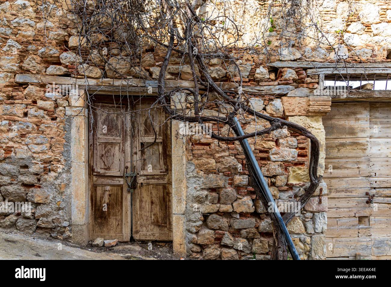 Vecchia casa in pietra abbandonata tra alberi e erba alta a Galaxidi, Focide, Grecia Foto Stock