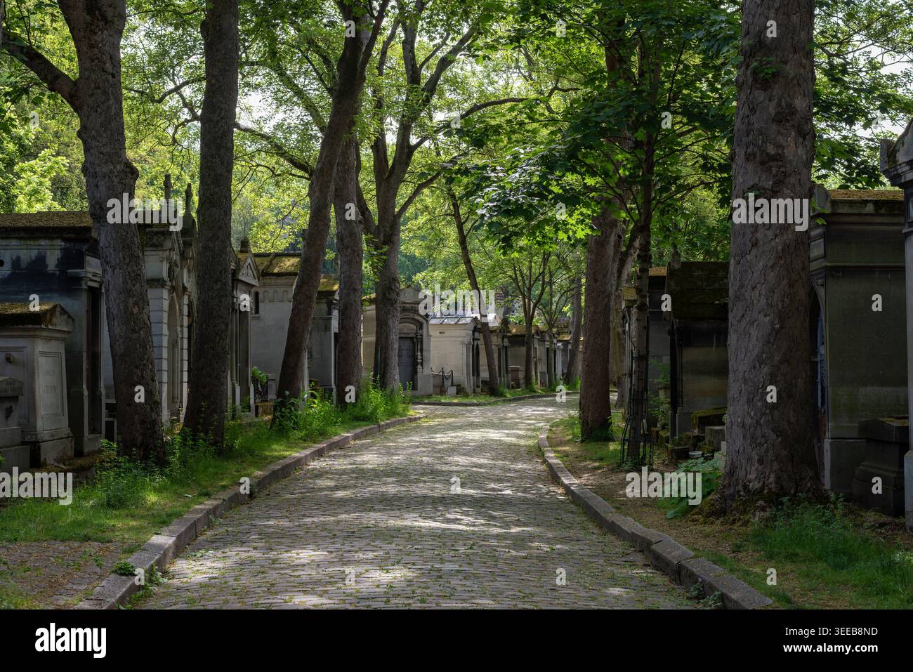 Lapidi nel cimitero di Père Lachaise nel XX arrondissement di Parigi Foto Stock