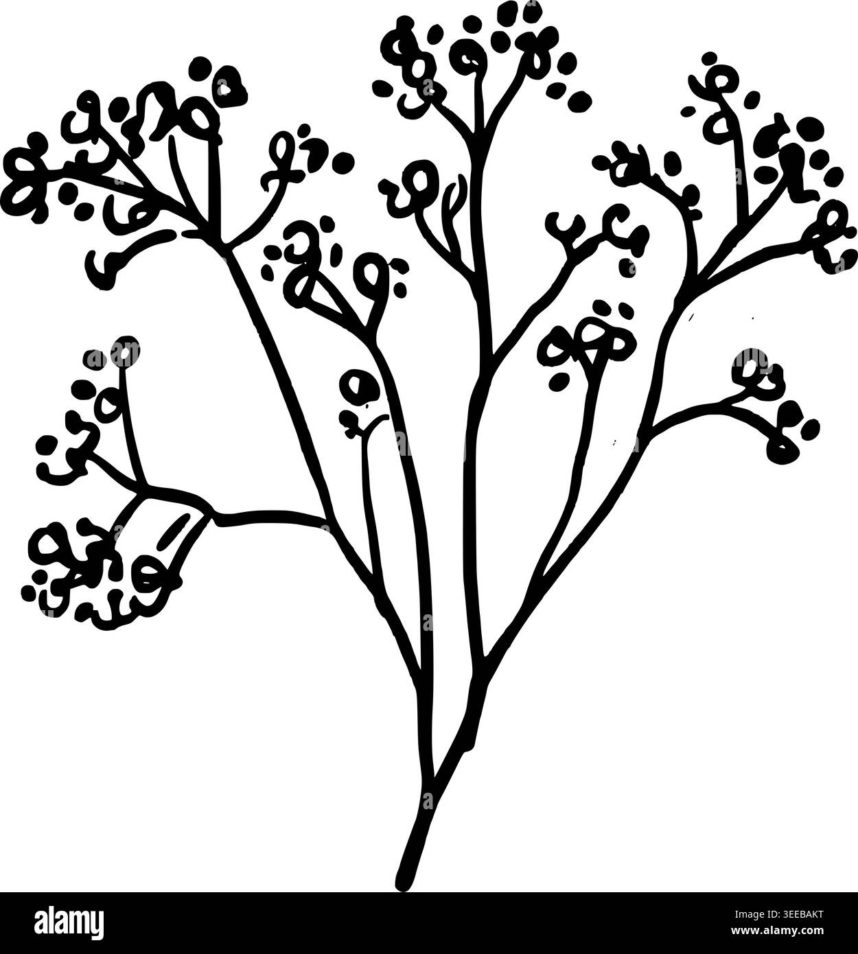 Illustrazione del vettore Sprig Breath Babys disegnato a mano Illustrazione Vettoriale