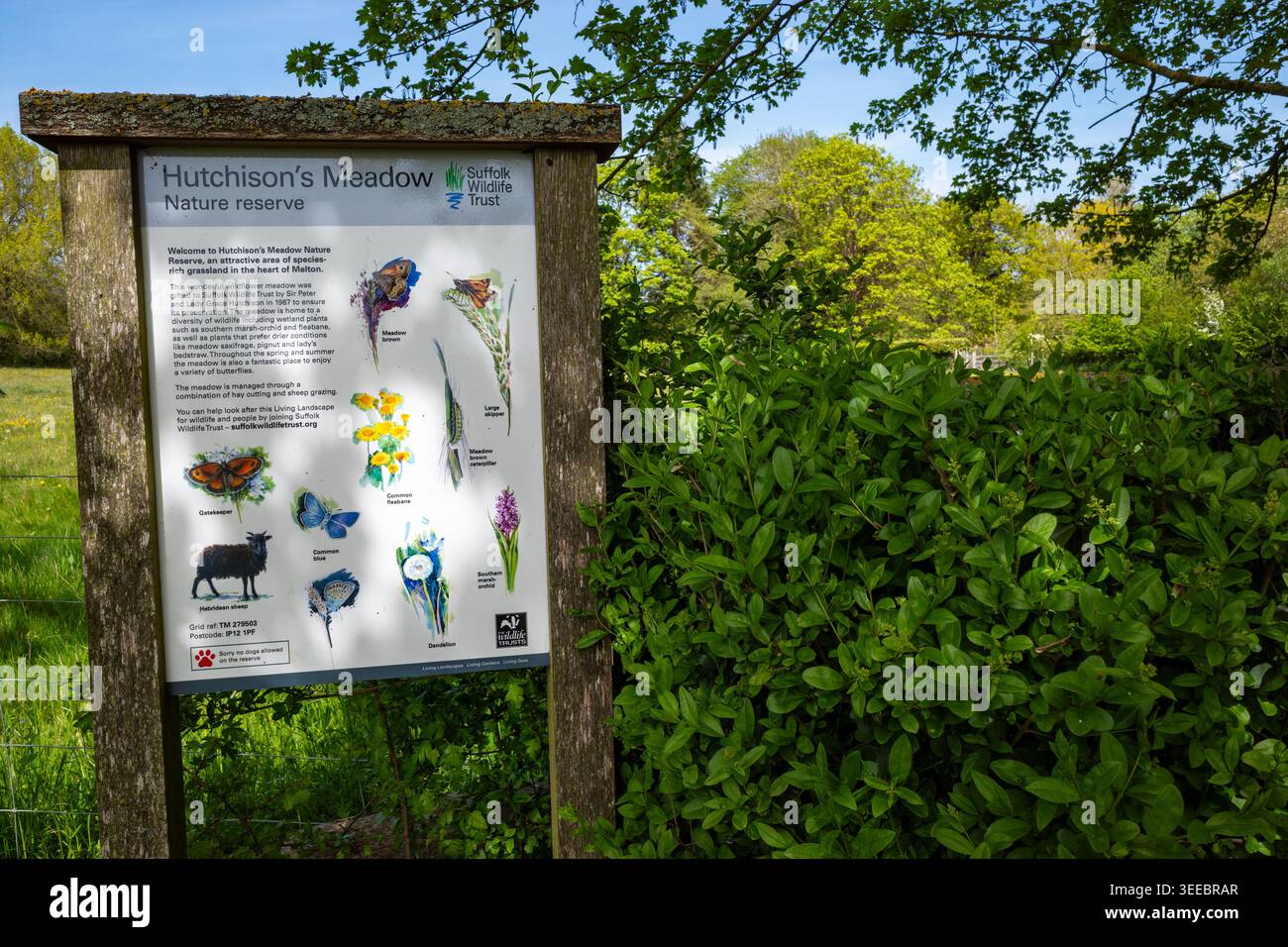 Suffolk Wildlife Trust, Hutchison's Meadow Melton Foto Stock
