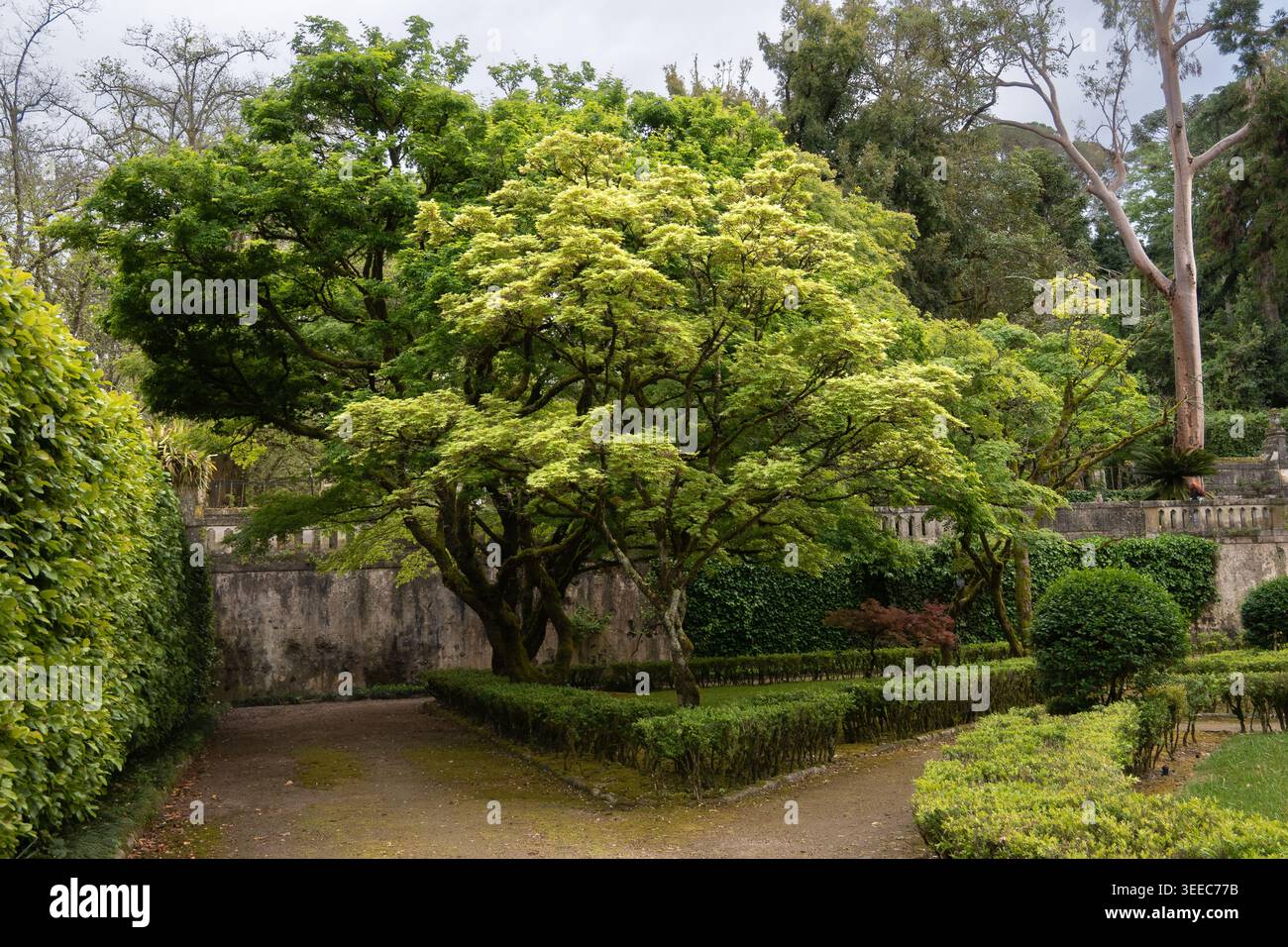 Orto botanico di Coimbra Foto Stock