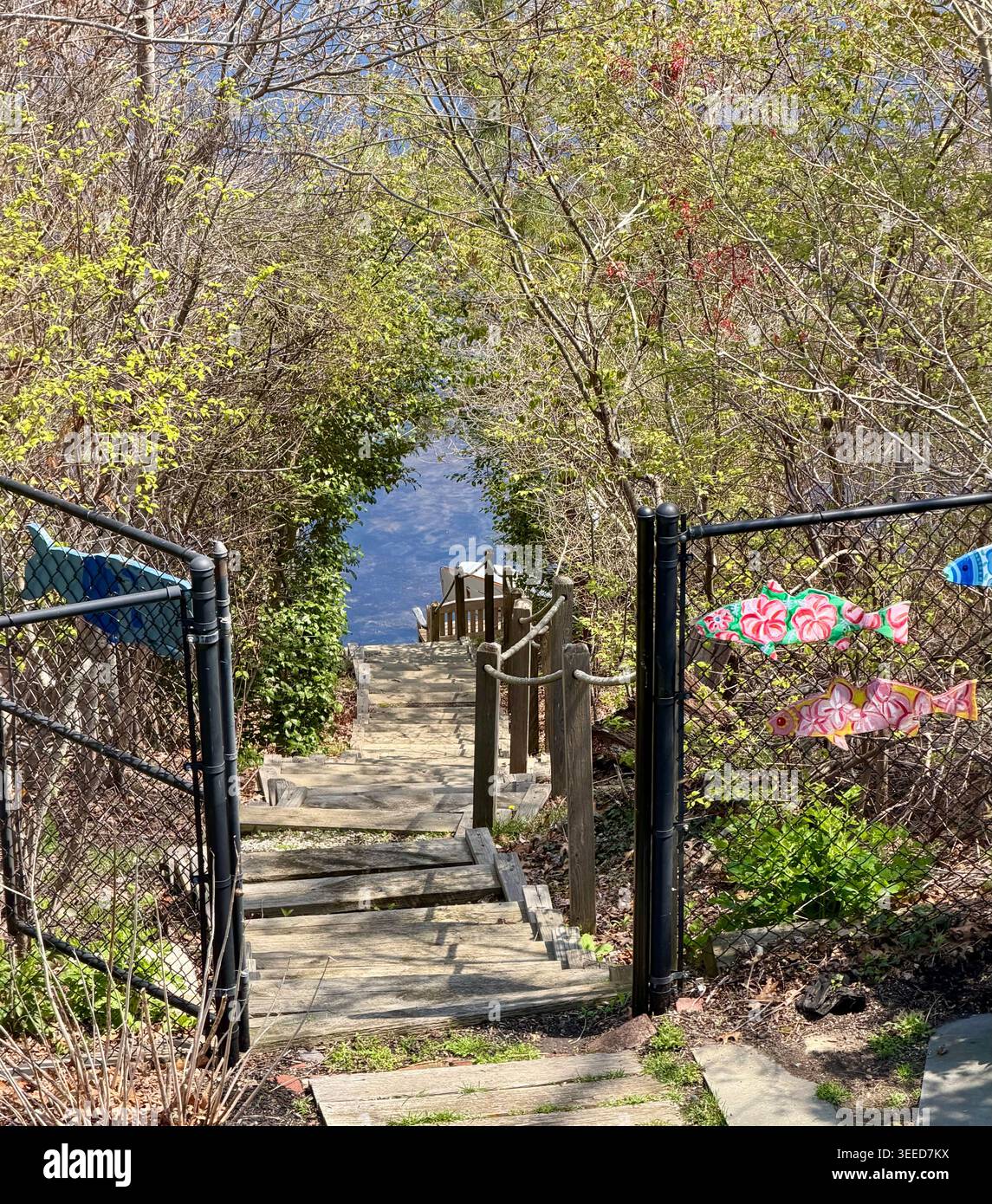 Scale che portano da casa a Crystal Lake, Orleans, Massachusetts Foto Stock