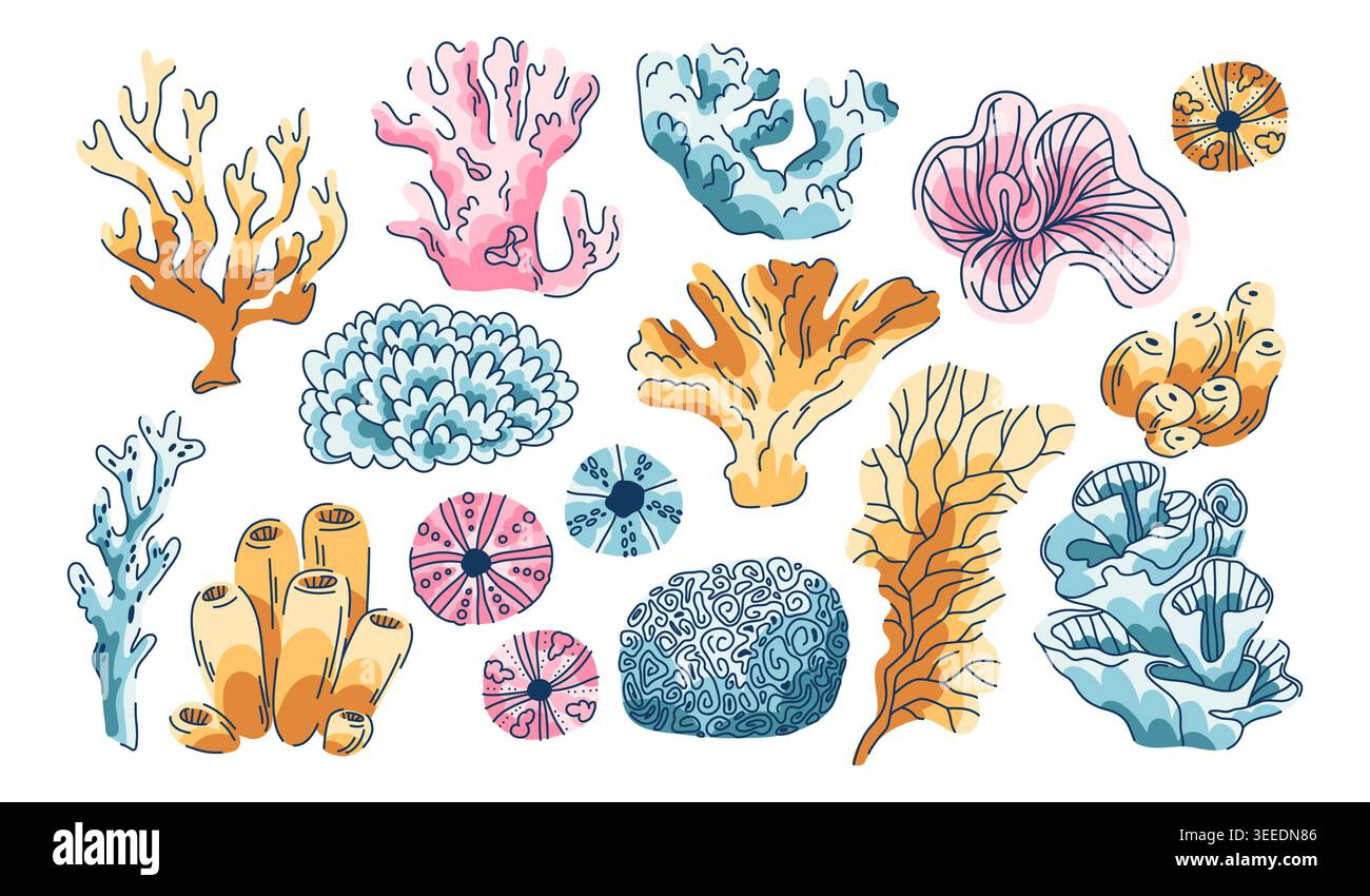 grande collezione di coralli marini e anemoni su bianco Illustrazione Vettoriale