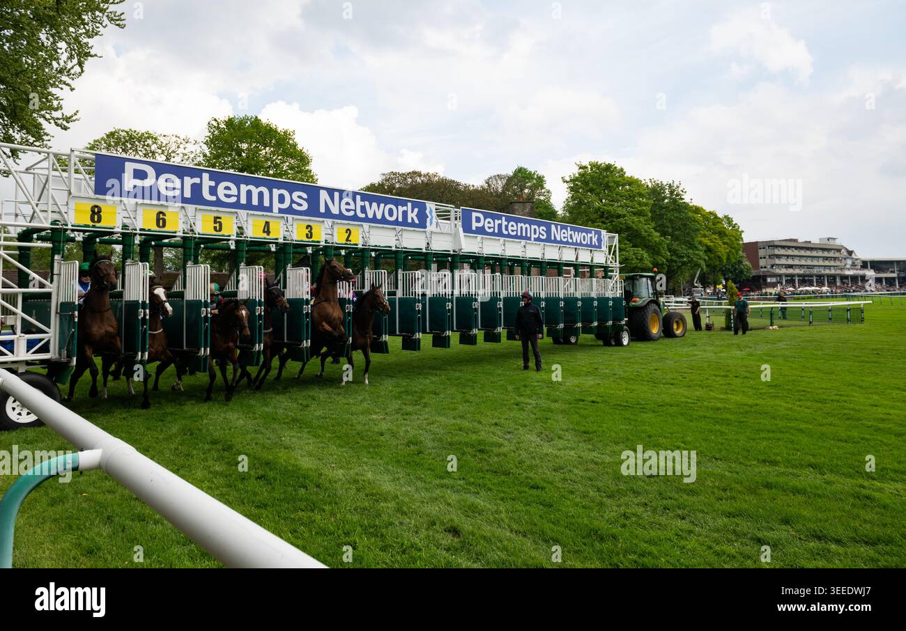 Il campo Pertemps Newton handicap si stacca dalle bancarelle. Crediti JTW equine Images / Alamy Foto Stock