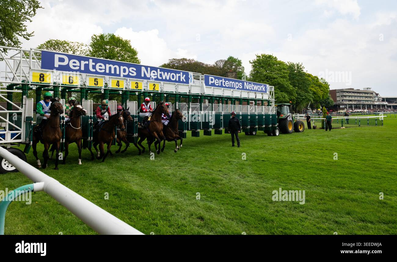 Il campo Pertemps Newton handicap si stacca dalle bancarelle. Crediti JTW equine Images / Alamy Foto Stock