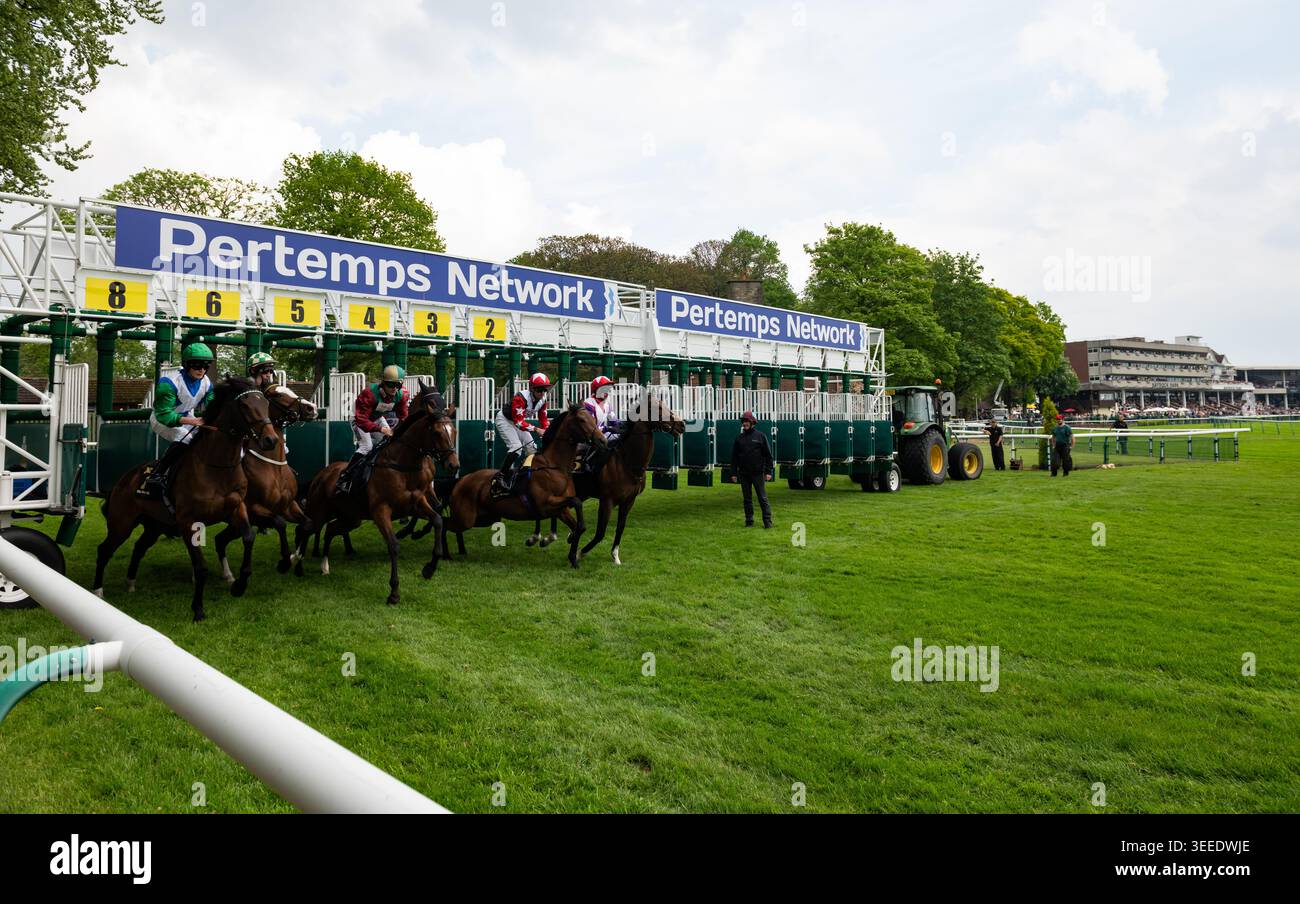 Il campo Pertemps Newton handicap si stacca dalle bancarelle. Crediti JTW equine Images / Alamy Foto Stock