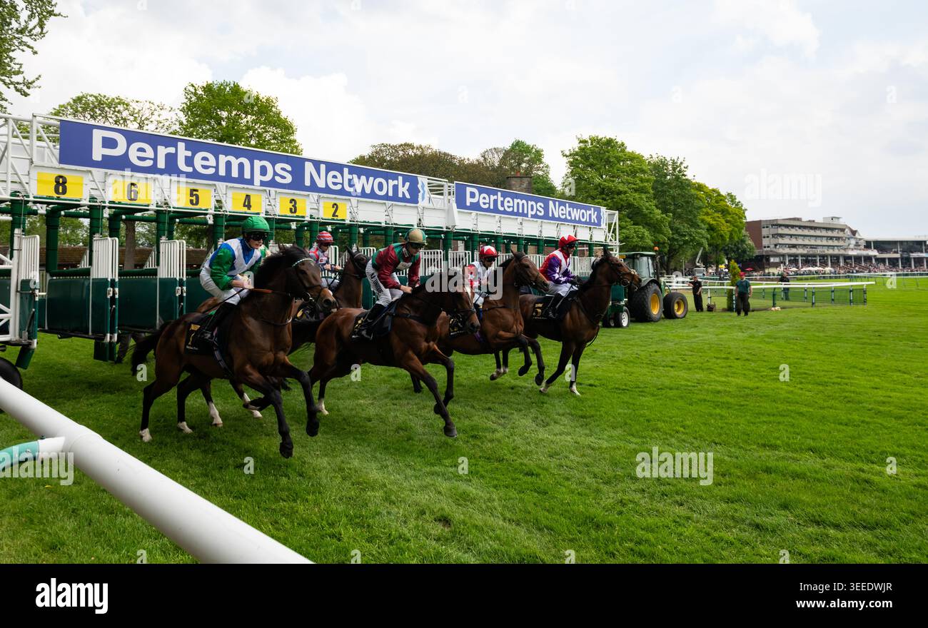 Il campo Pertemps Newton handicap si stacca dalle bancarelle. Crediti JTW equine Images / Alamy Foto Stock