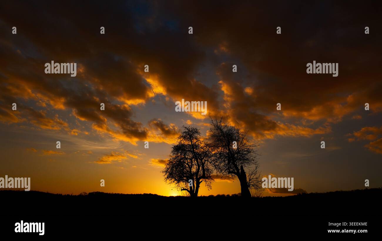 Magnifico cielo luminoso al tramonto con nuvole arancioni illuminate e alberi sagomati all'orizzonte Foto Stock