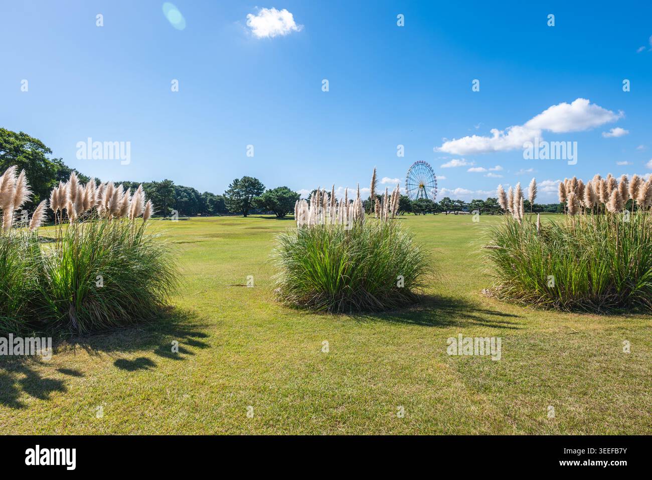 Ruota panoramica, occhi blu, al parco marittimo Hitachi a Hitachi, Ibaraki, Giappone Foto Stock