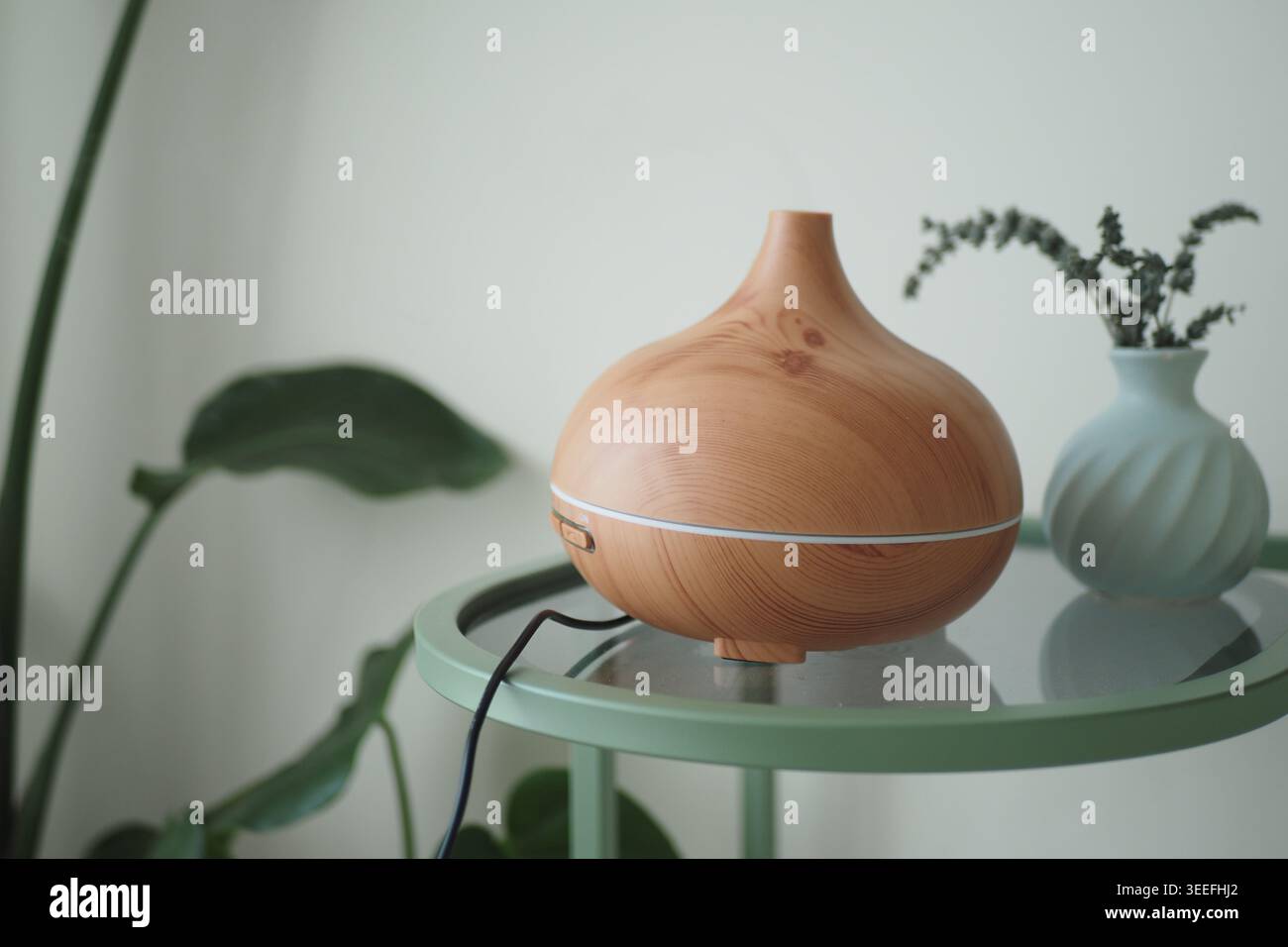 Diffusore in legno posizionato su un tavolo con piante vicine Foto Stock