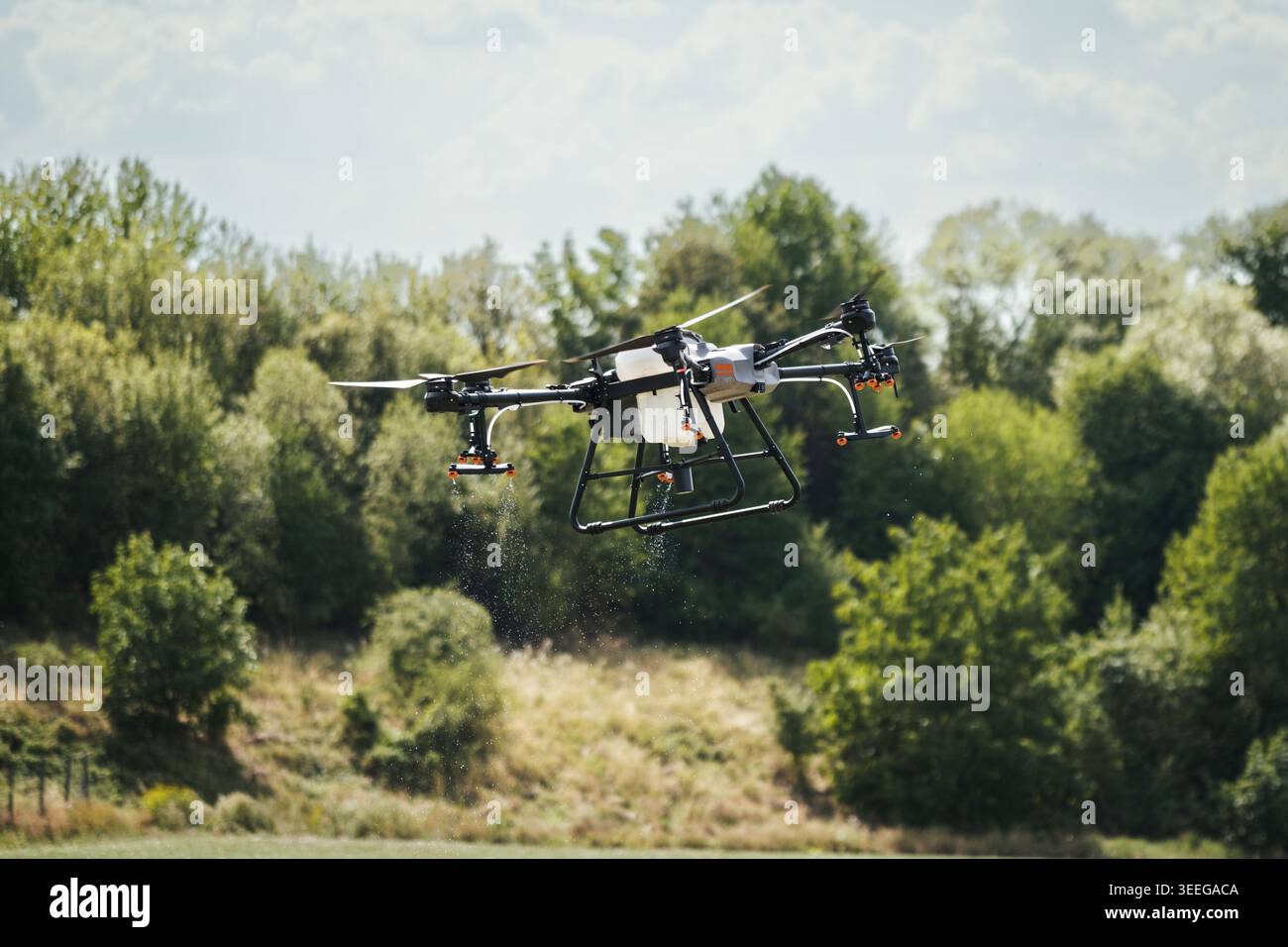 I droni agricoli spruzzano le colture, distribuiscono pesticidi, erbicidi e fertilizzanti in modo efficiente e preciso. Veduta aerea di un drone che si sta moderando Foto Stock