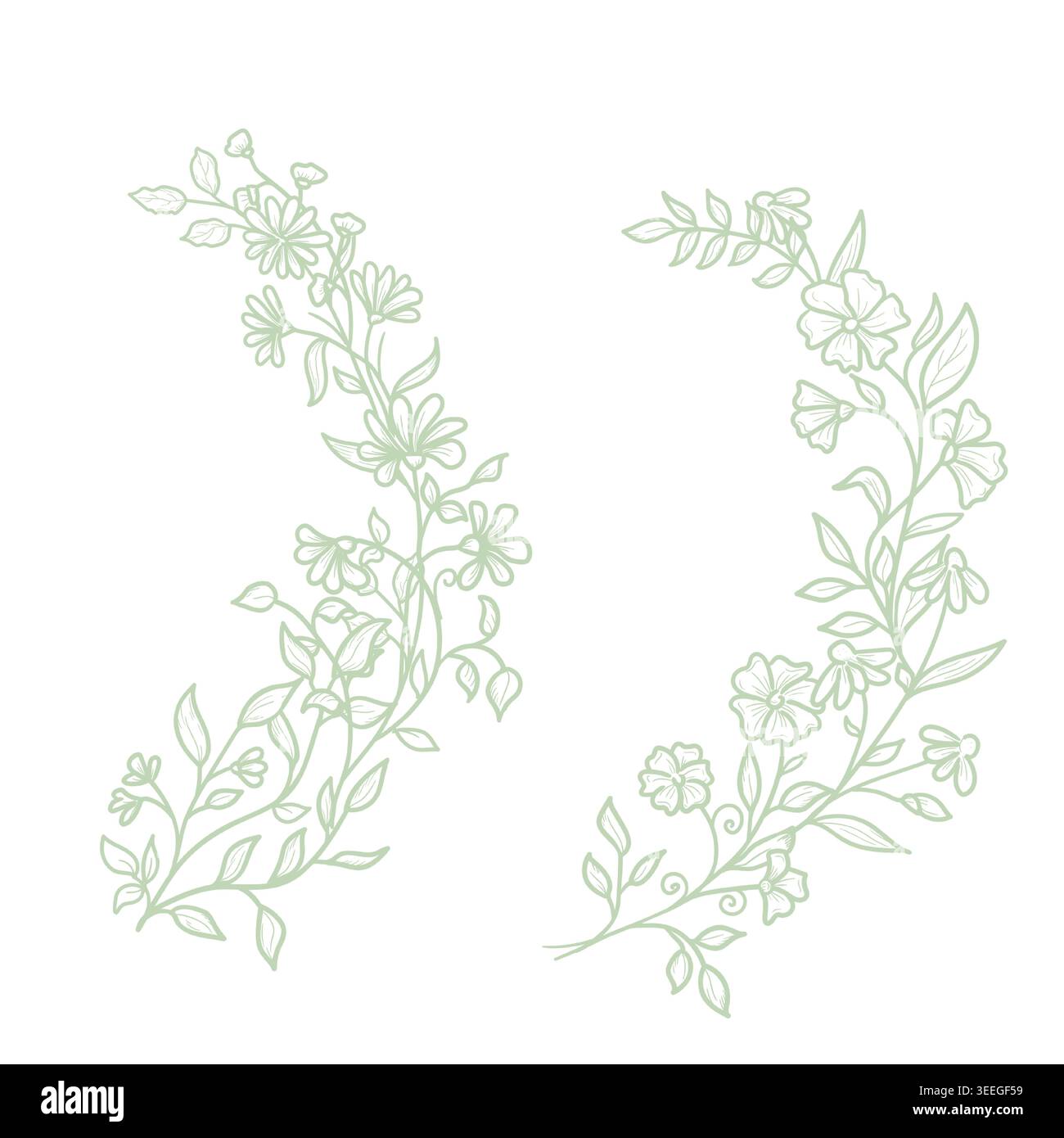 Bordi floreali con fiori, ramoscelli e foglie. Illustrazione vettoriale. Corone tonde botaniche disegnate a mano con rami e gemme in arte in linea, isolate o Illustrazione Vettoriale