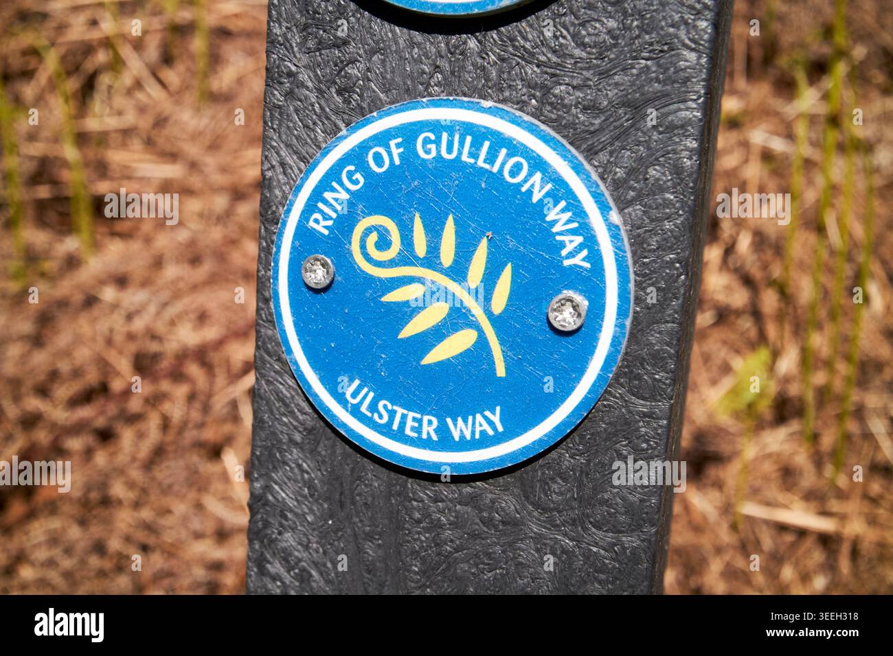 anello di gullion way e ulster way marcatore a piedi slieve gullion forest park ring of gullion county armagh irlanda del nord regno unito Foto Stock
