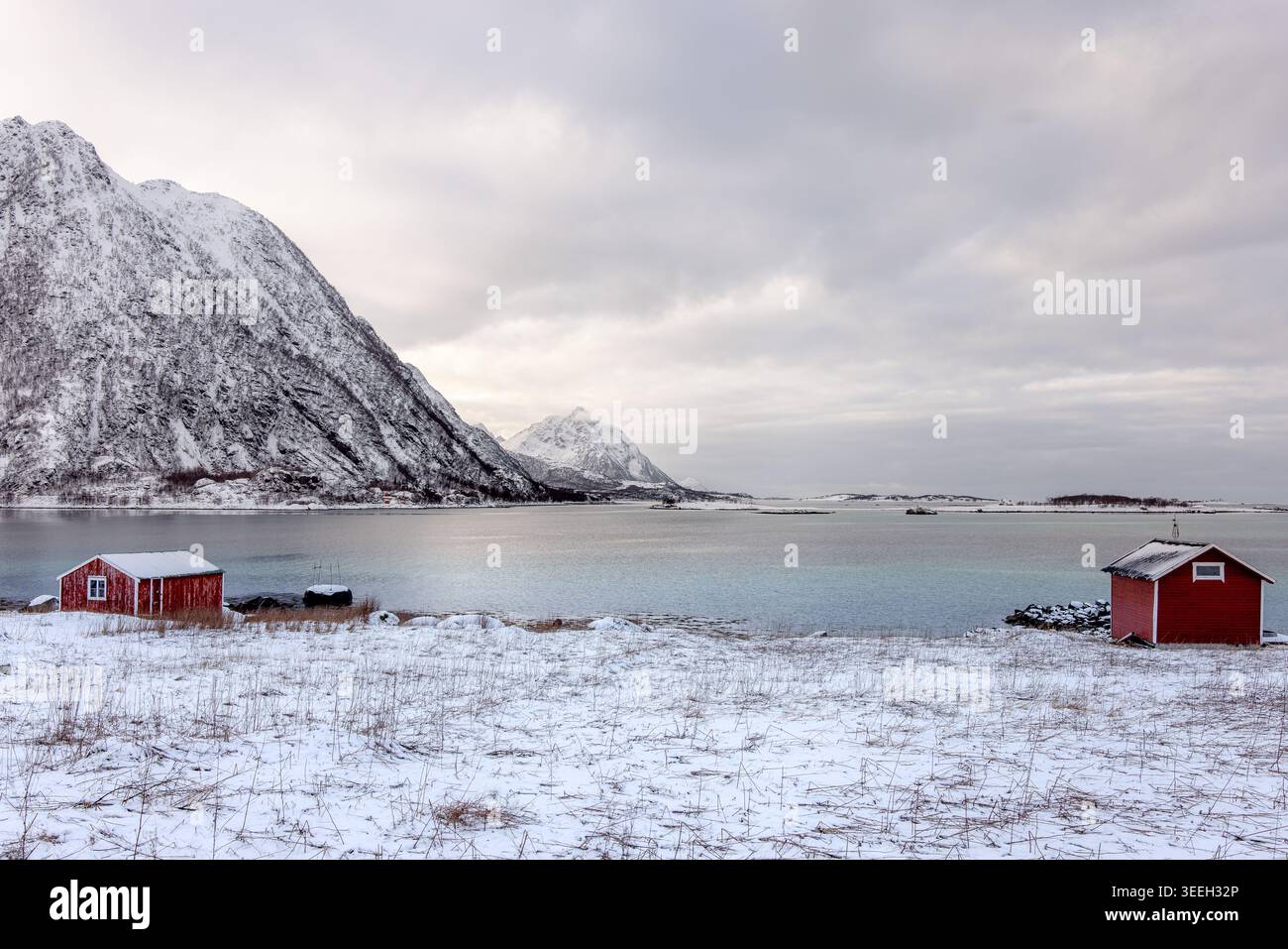 Norvegia, arcipelago delle Lofoten: Paesaggio delle isole Lofoten. Vista del rorbus, tradizionali case stagionali norvegesi, tipico legno rosso Foto Stock