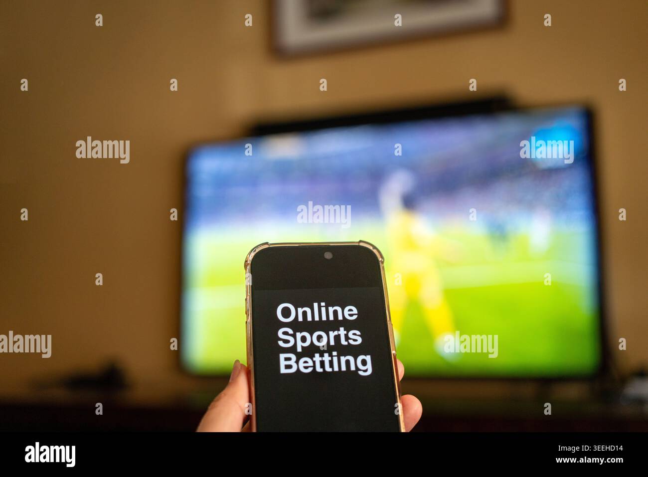 Mano con il telefono che mostra il testo, scommesse sportive online con tv sfocata che gioca a calcio sullo sfondo. Foto Stock