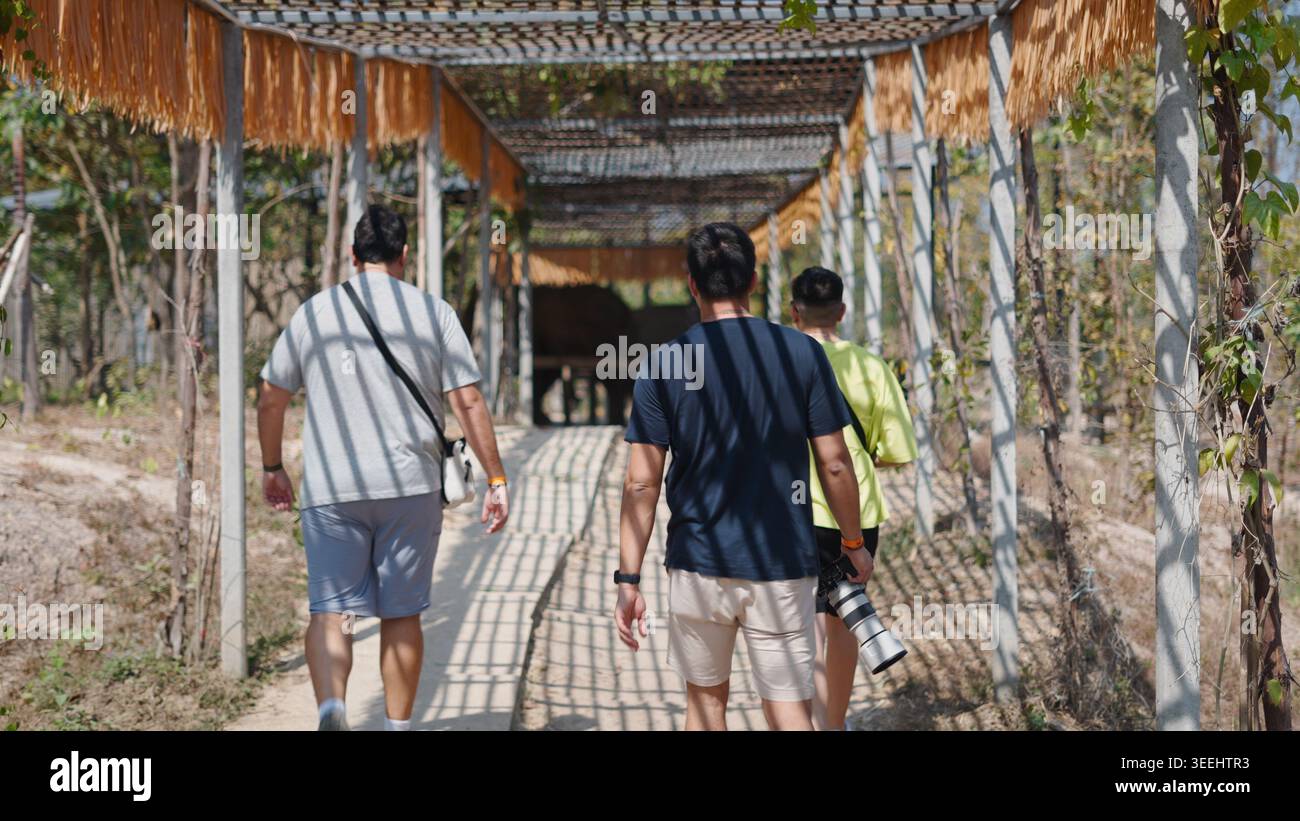 Gruppo di turisti e fotografi che camminano sotto un sentiero ombreggiato presso il santuario degli animali Foto Stock
