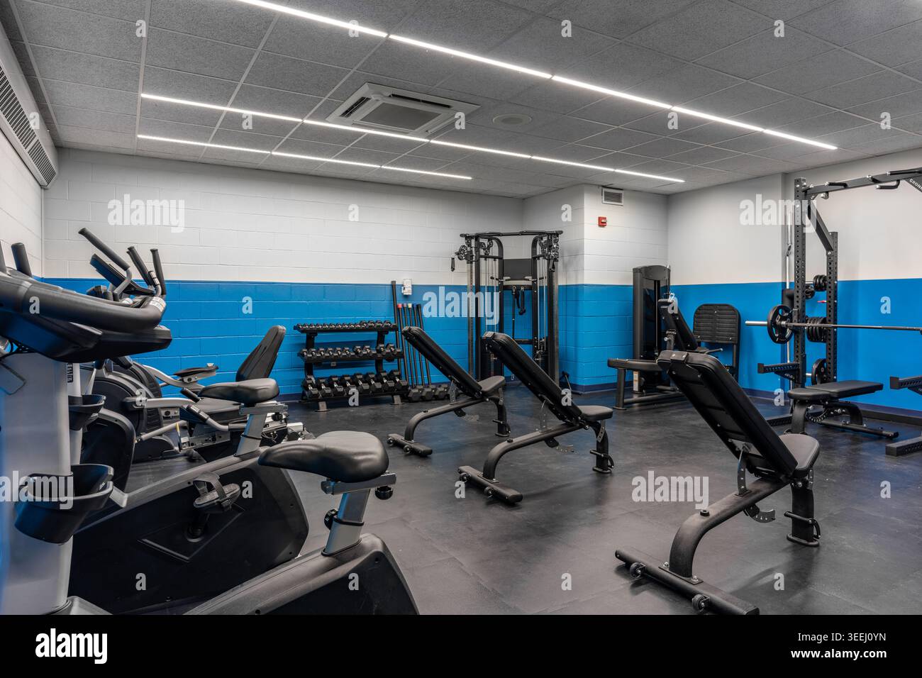 Moderna palestra con una linea di cyclette e macchine ellittiche disposte su una parete blu e bianca, con panca regolabile per pesi. Foto Stock