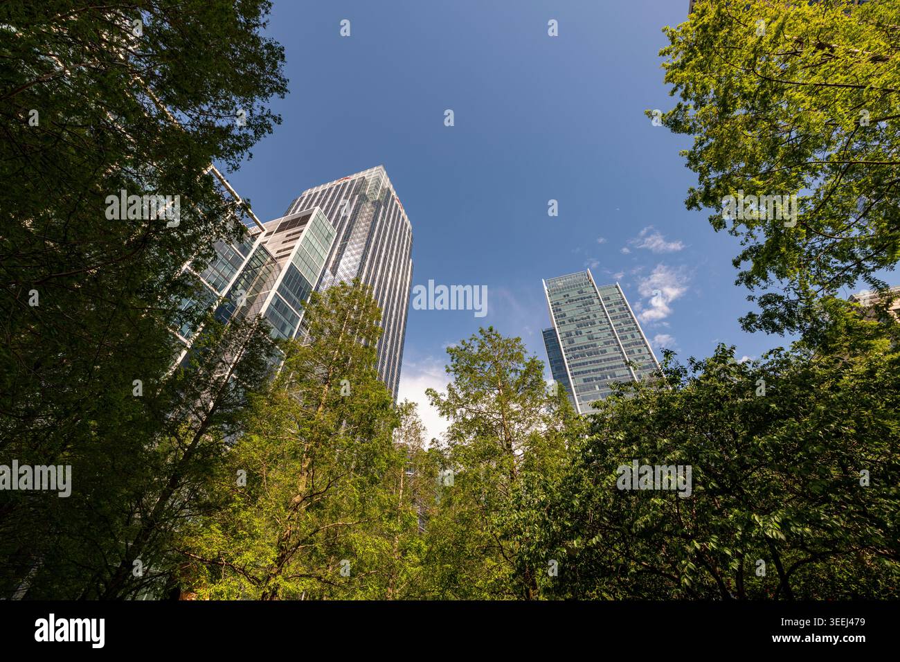 Moderni grattacieli che si innalzano sopra alberi e vegetazione a Canary Wharf, London Docklands. Foto Stock
