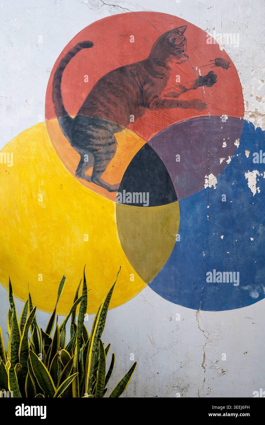 Murale grafico moderno su una parete con un'illustrazione di un gatto tabby sovrapposta a audaci motivi circolari rossi e blu, George Town, Penang, Malesia Foto Stock
