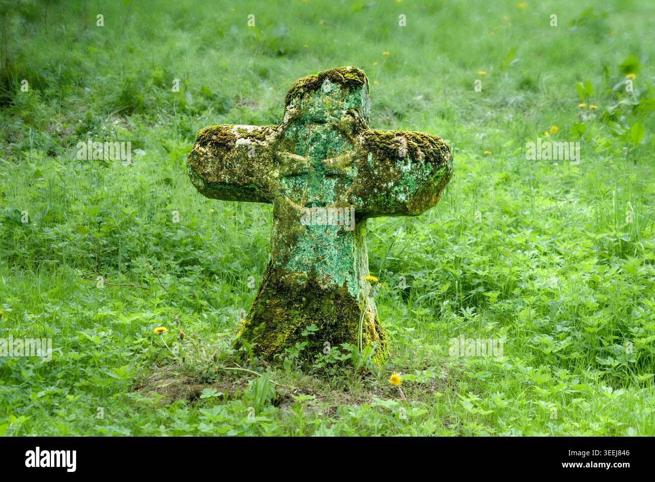 Schäferstein, croce del pastore, croce di penitenza, croce di espiazione, croce di pietra come simbolo di penitenza per il crimine, XVI secolo, Landau, Bad AR Foto Stock