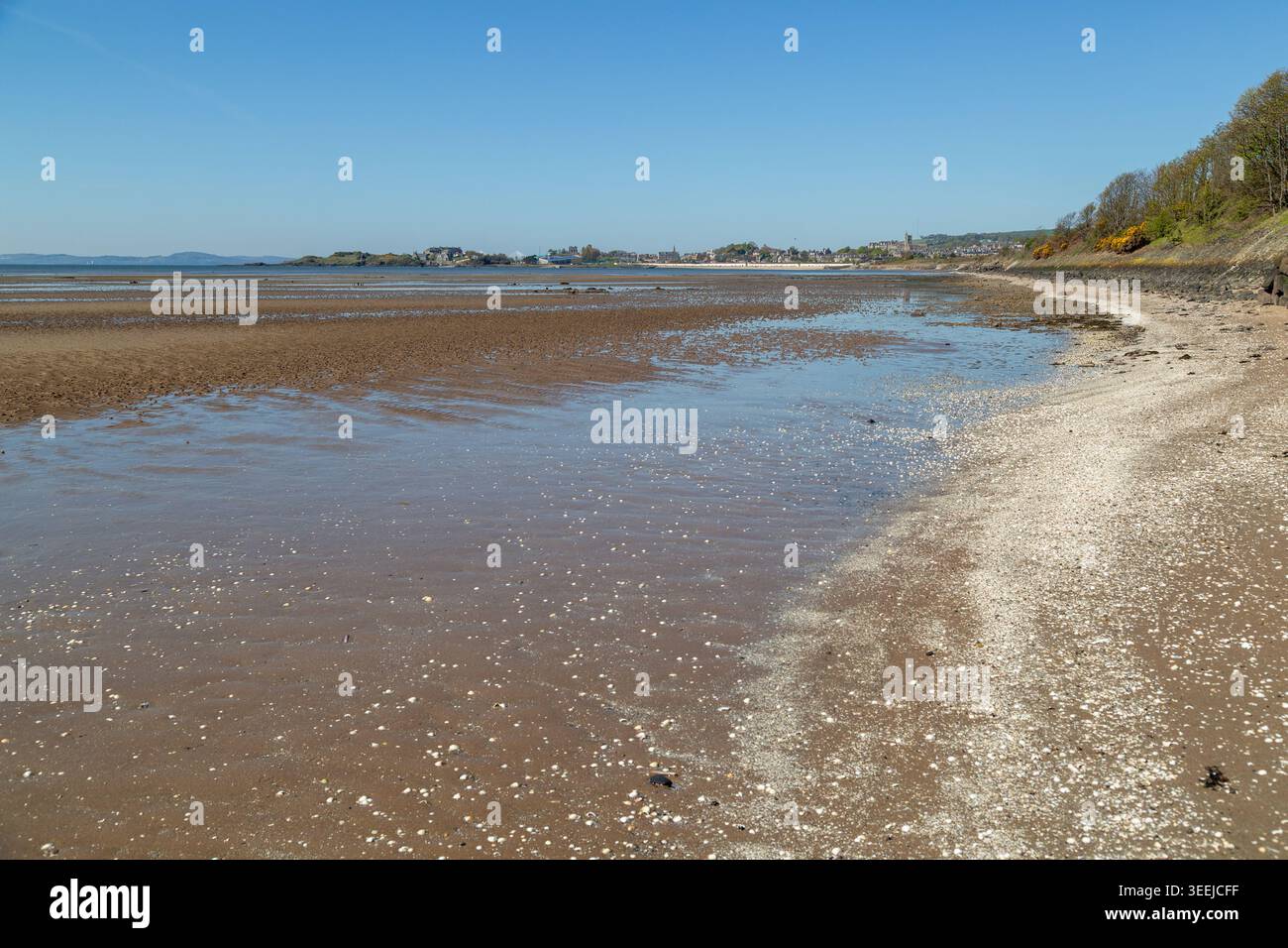 Una spiaggia sabbiosa lungo il percorso della bassa marea del sentiero costiero fife tra Burntisland e Kinghorn, Fife, Scozia Foto Stock