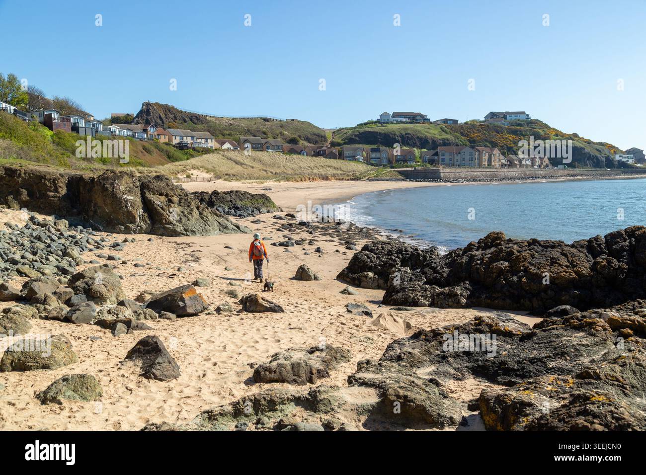 Camminando lungo il percorso alternativo con bassa marea del sentiero costiero fife verso Pettycur Bay a Kinghorn, Fife, Scozia Foto Stock