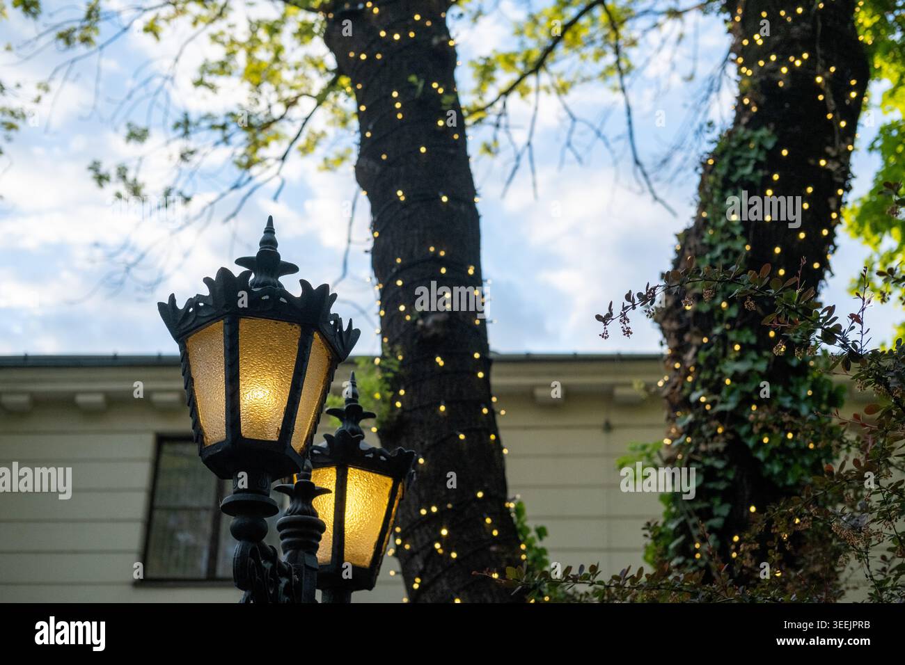 Le lampade da strada ornate in stile vintage sono illuminate al crepuscolo in un parco all'aperto con alberi decorati con luci fiabesche. Foto Stock