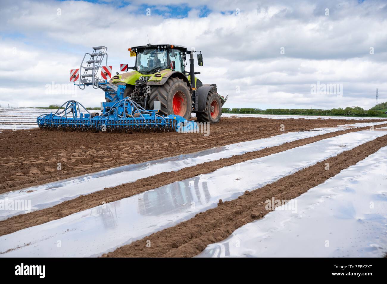 Preparazione del letto di semina prima della semina del mais, con un trattore Claas. Cumbria, Regno Unito. Foto Stock