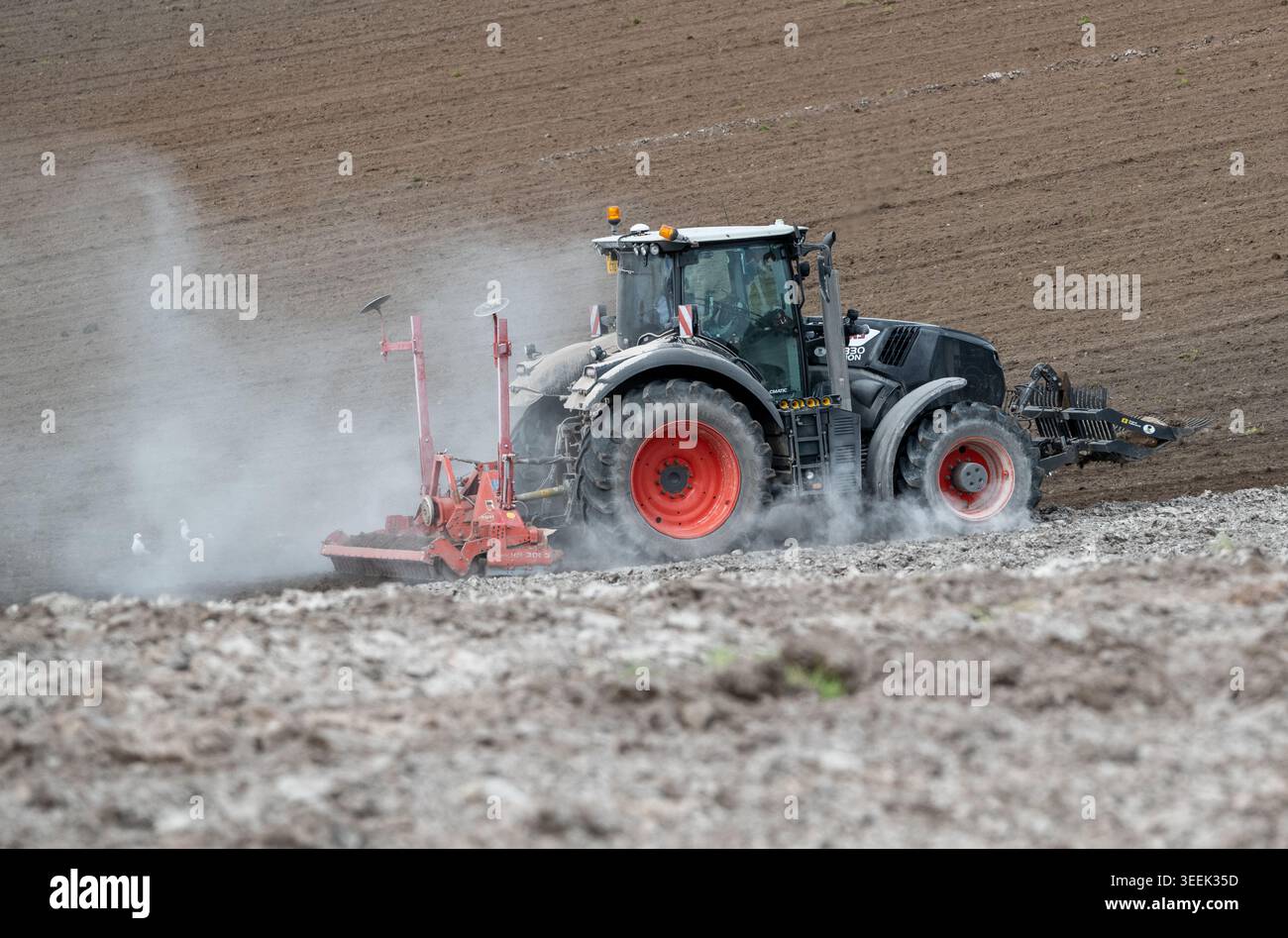 Claas Axion 830 eruttante di potenza in calce appena sparsa su un campo arato. Il calcare in polvere aiuta la fertilità del terreno. Cumbria, Regno Unito. Foto Stock