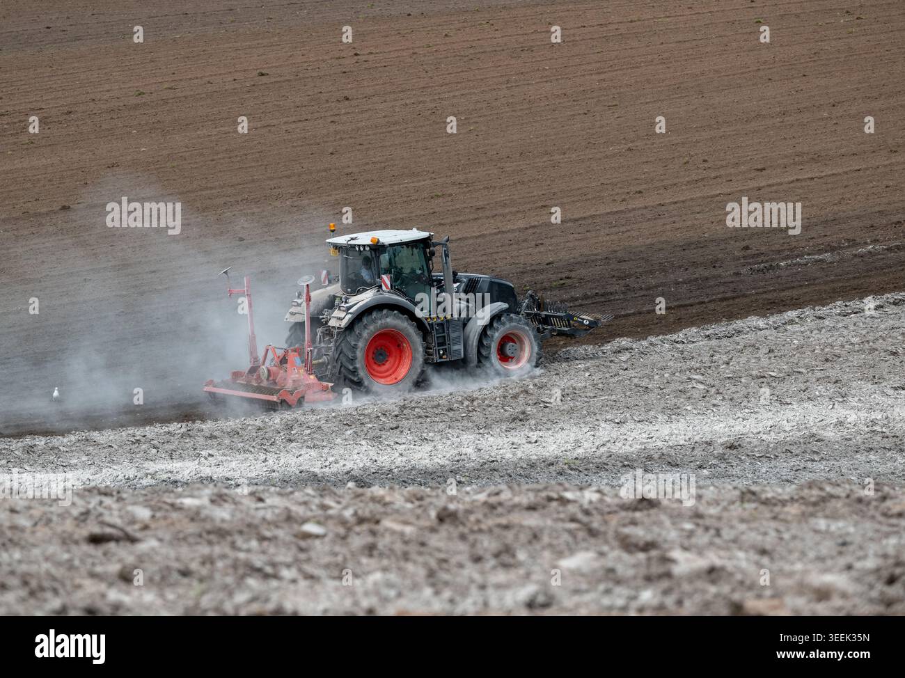 Claas Axion 830 eruttante di potenza in calce appena sparsa su un campo arato. Il calcare in polvere aiuta la fertilità del terreno. Cumbria, Regno Unito. Foto Stock