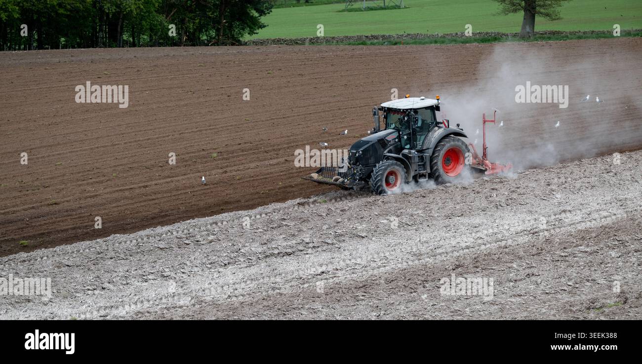 Claas Axion 830 eruttante di potenza in calce appena sparsa su un campo arato. Il calcare in polvere aiuta la fertilità del terreno. Cumbria, Regno Unito. Foto Stock