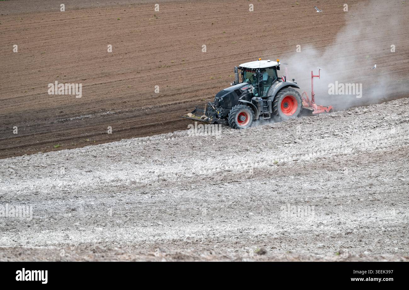 Claas Axion 830 eruttante di potenza in calce appena sparsa su un campo arato. Il calcare in polvere aiuta la fertilità del terreno. Cumbria, Regno Unito. Foto Stock