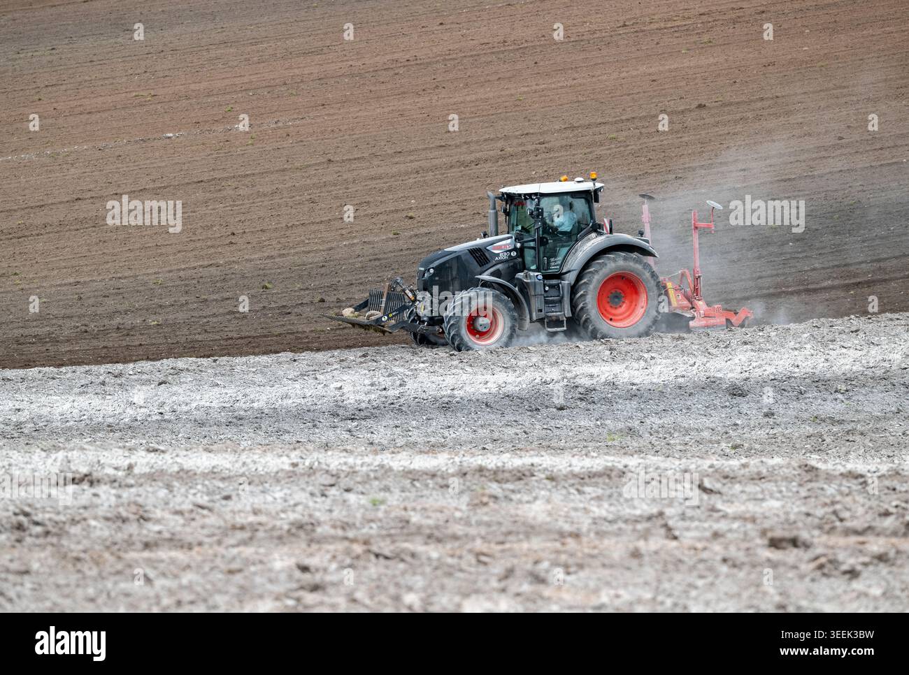 Claas Axion 830 eruttante di potenza in calce appena sparsa su un campo arato. Il calcare in polvere aiuta la fertilità del terreno. Cumbria, Regno Unito. Foto Stock