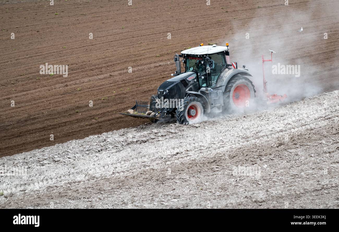 Claas Axion 830 eruttante di potenza in calce appena sparsa su un campo arato. Il calcare in polvere aiuta la fertilità del terreno. Cumbria, Regno Unito. Foto Stock