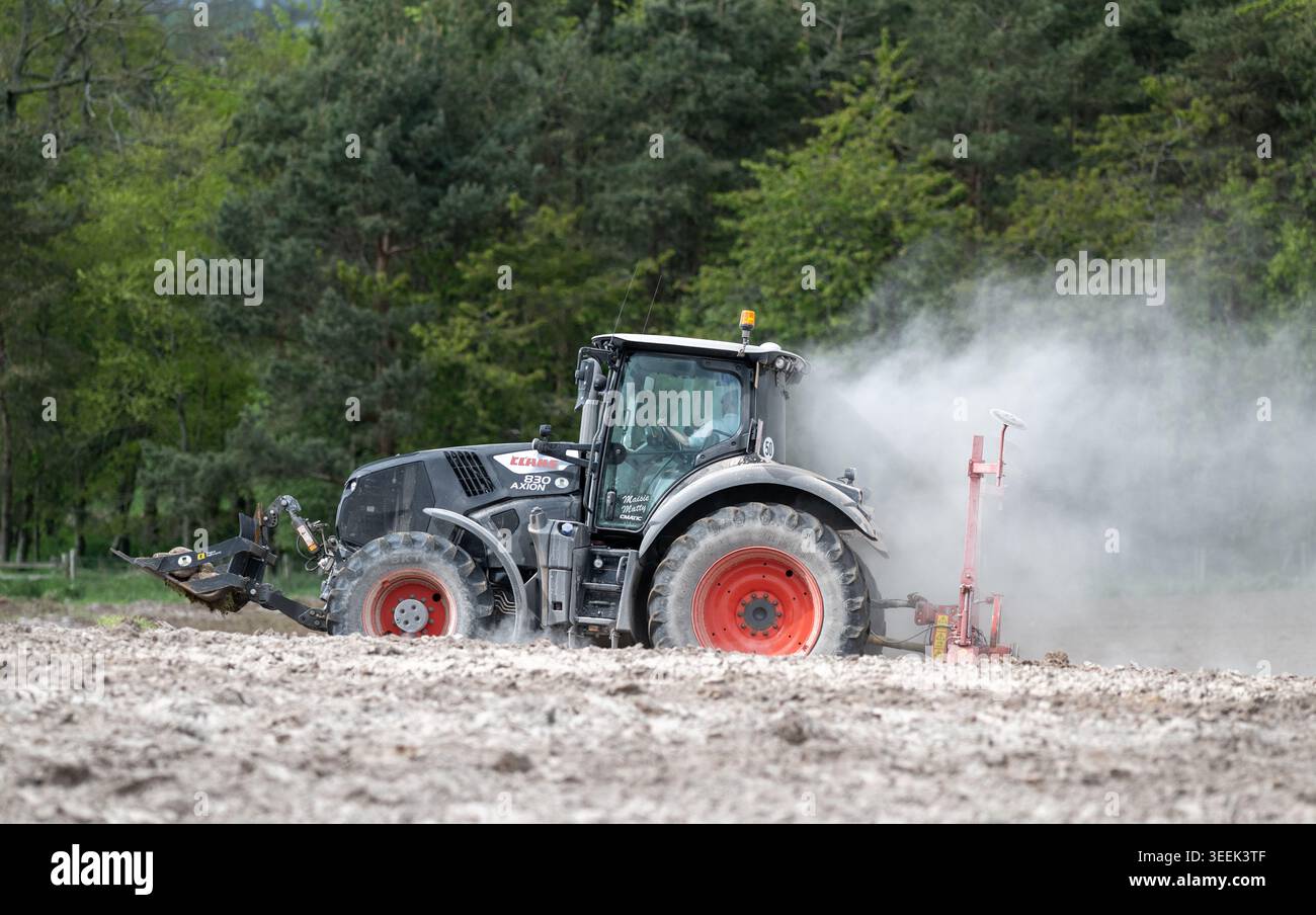 Claas Axion 830 eruttante di potenza in calce appena sparsa su un campo arato. Il calcare in polvere aiuta la fertilità del terreno. Cumbria, Regno Unito. Foto Stock