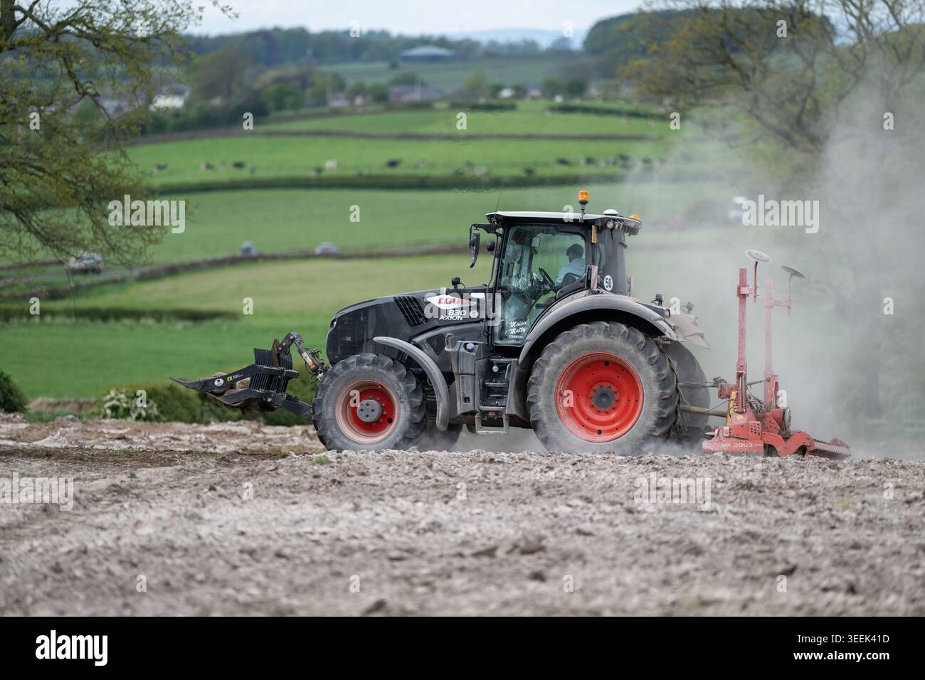 Claas Axion 830 eruttante di potenza in calce appena sparsa su un campo arato. Il calcare in polvere aiuta la fertilità del terreno. Cumbria, Regno Unito. Foto Stock